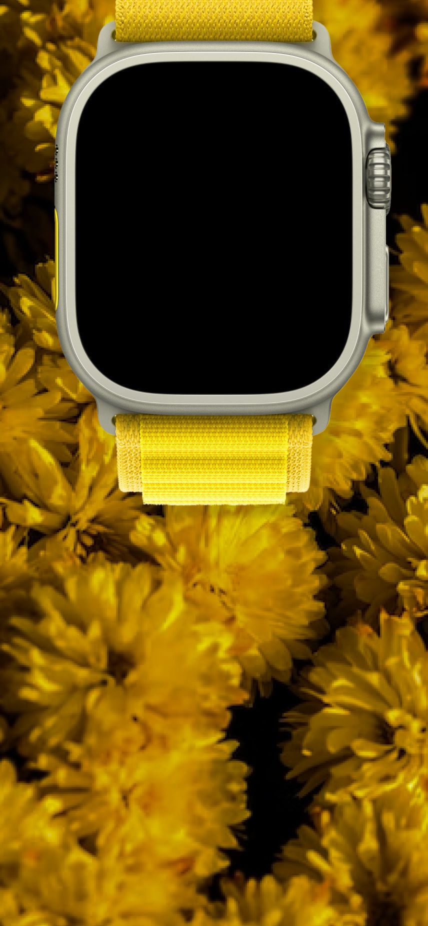  Apple Watch Hintergrundbild 856x1852. Apple Watch Hintergrundbilder, Apple Watch HD Bilder, Fotos Kostenlos Herunterladen