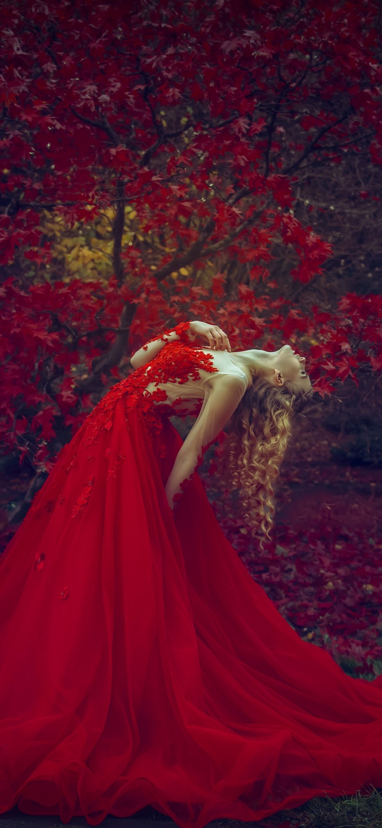 Rote Hintergrundbild 1242x2688. Rotes Rock blondes Mädchen, Pose, rote Ahornblätter, Herbst 5120x2880 UHD 5K Hintergrundbilder, HD, Bild