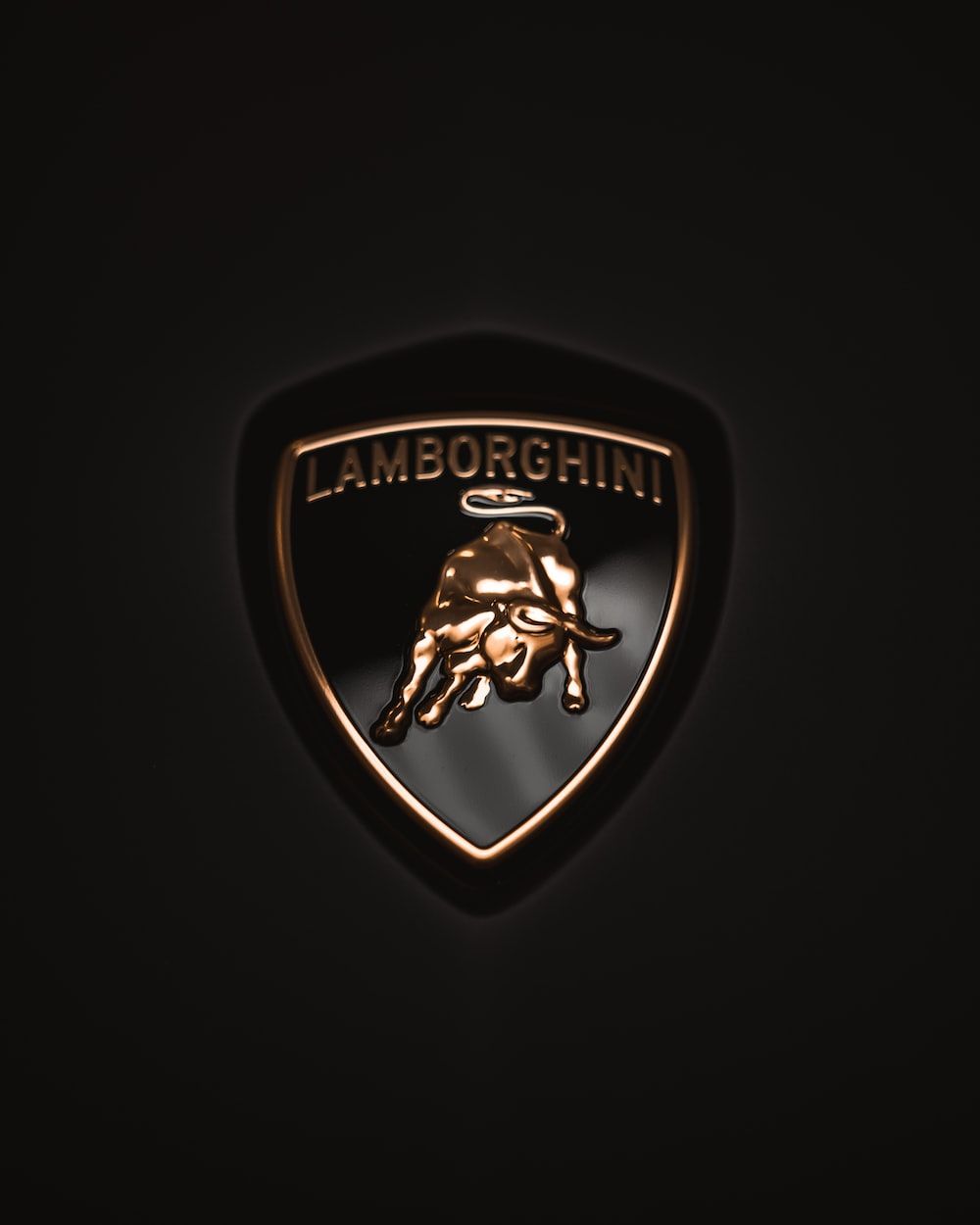 Lamborghini Hintergrundbild 1000x1250. a lamb logo on a black background photo