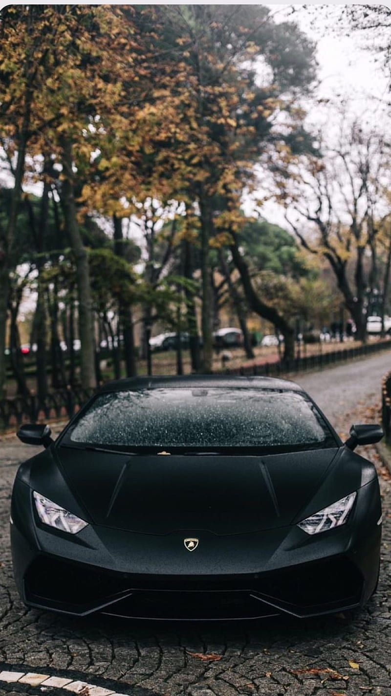 Lamborghini Hintergrundbild 800x1422. Lambo, black, car, carros, logo, super, HD phone wallpaper