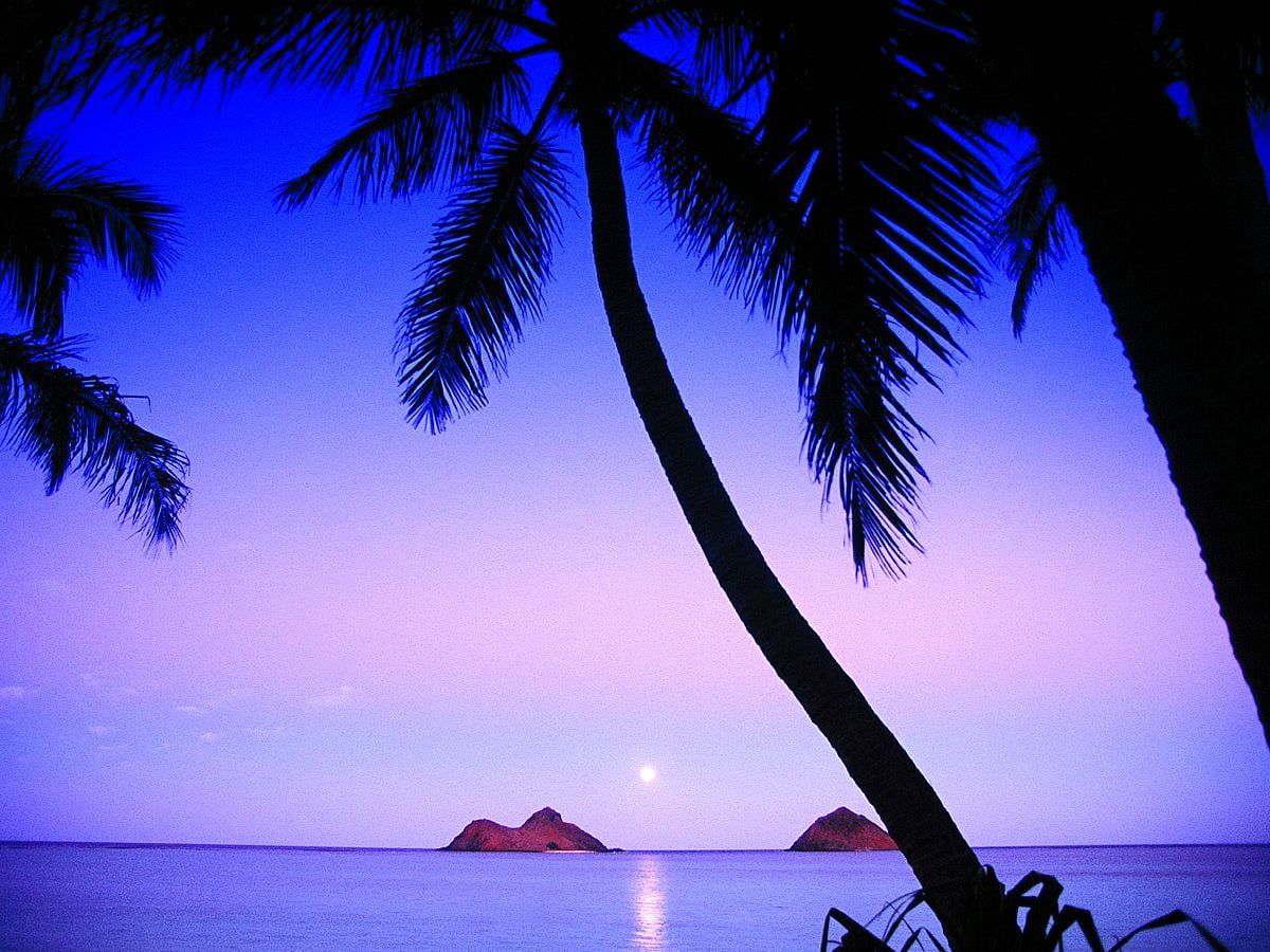 Schöner Hintergrundbild 1200x900. Hintergrundbild Schöner Himmel, Tropen, Natur. Download freie Hintergrundbilder