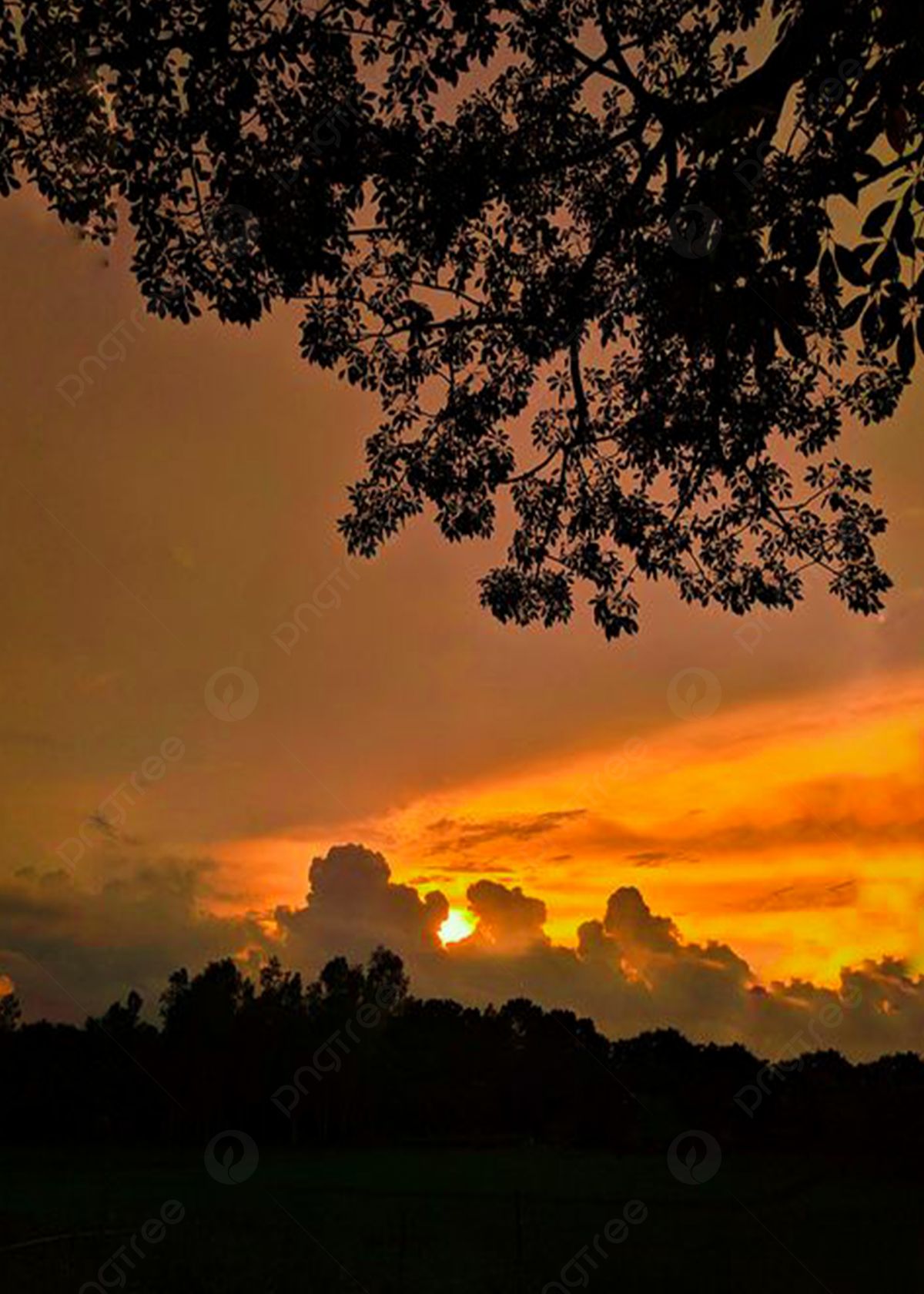 Schöner Hintergrundbild 1200x1680. Sonnenuntergang Schöner Hintergrund Und Bild zum kostenlosen Download