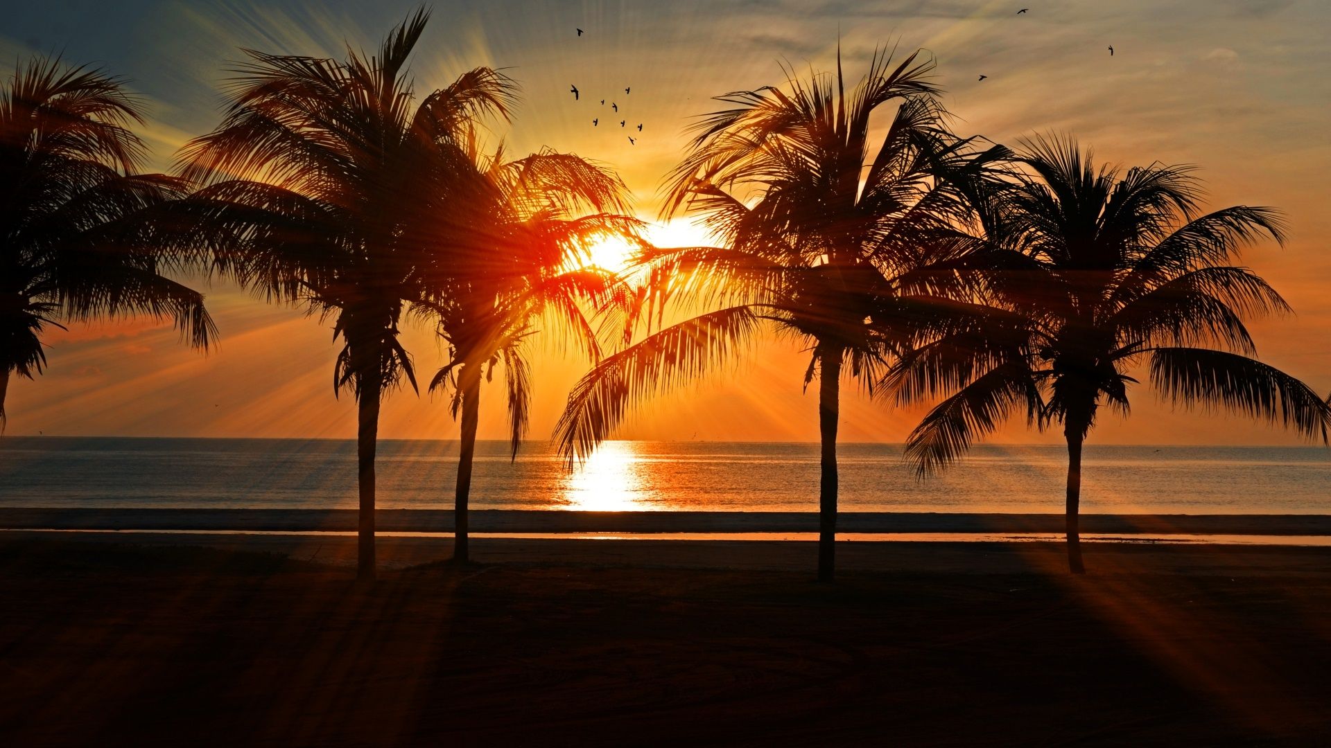  Sonnenuntergang Hintergrundbild 1920x1080. Bilder Sonnenuntergang Strand Meer