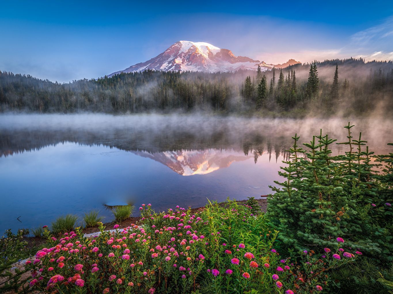  Bildschirm Hintergrundbild 1365x1024. Desktop Hintergrundbilder USA Mount Rainier National Park Berg Natur