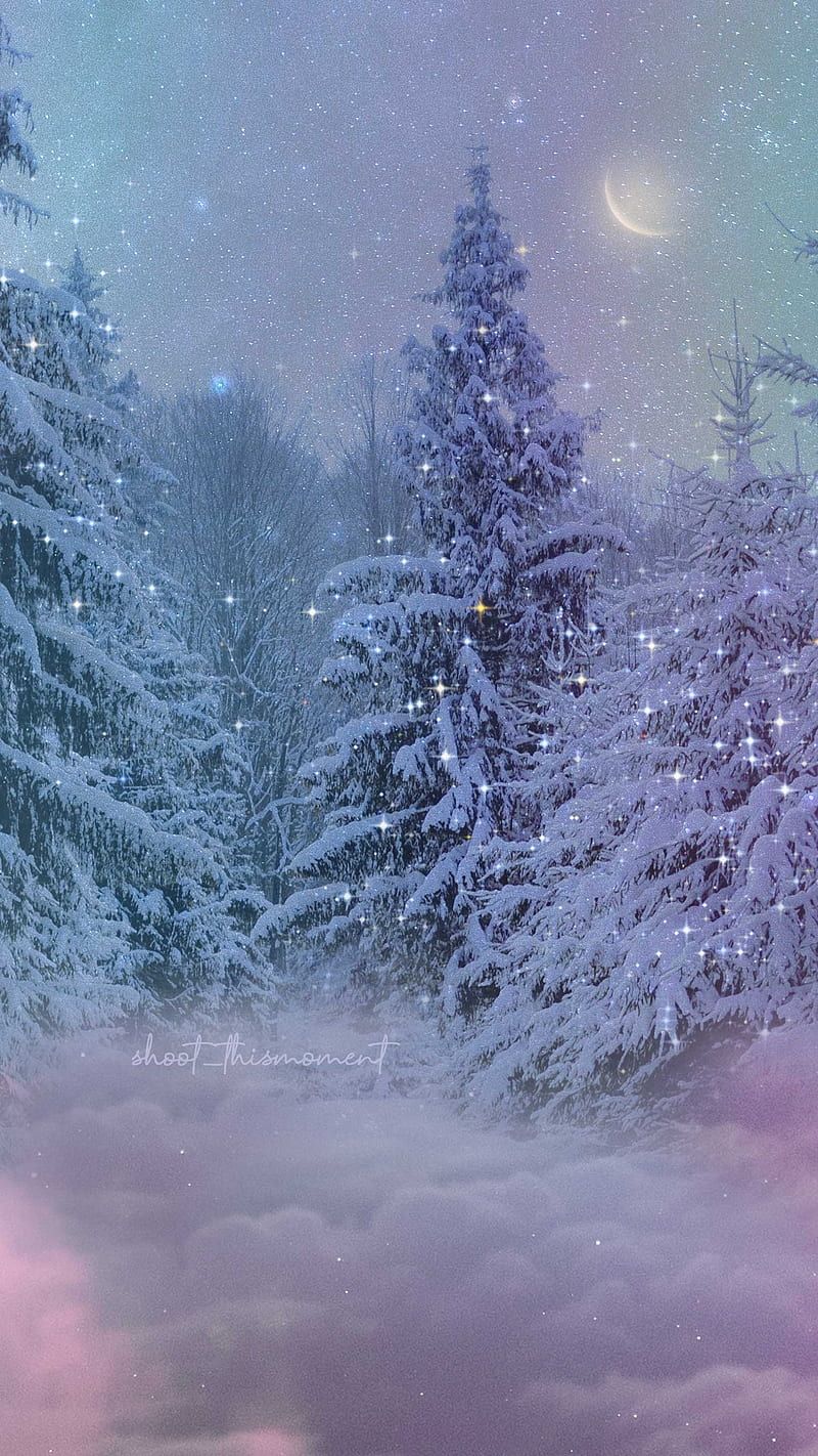 Winter Hintergrundbild 800x1422. Winter nights, aesthetics, christmas, dreamy, moon, northernlights, pines, snow, HD phone wallpaper