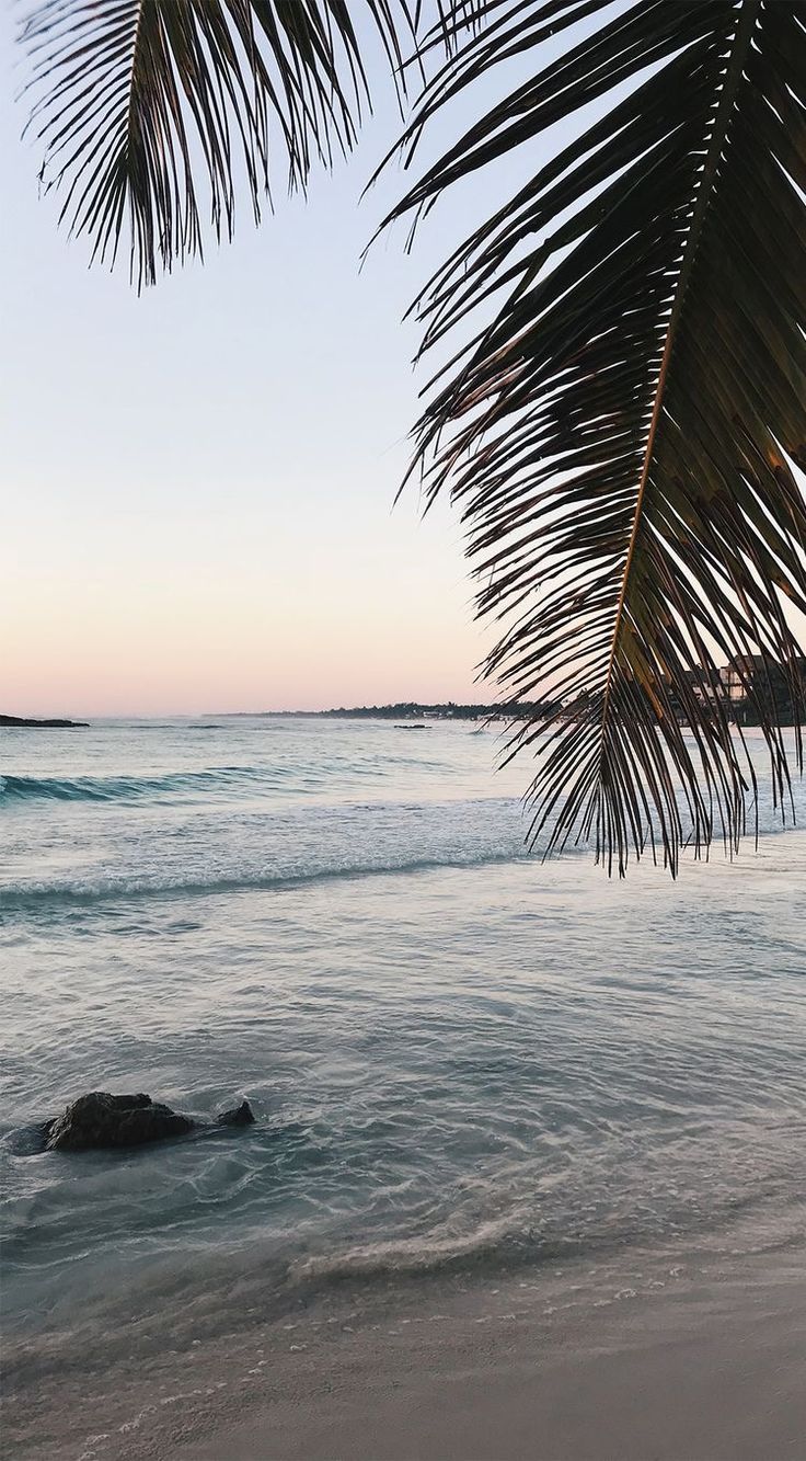  Strand Karibik Hintergrundbild 736x1333. Pin auf S U M M E R. Sky aesthetic, Ocean wallpaper, Aesthetic background