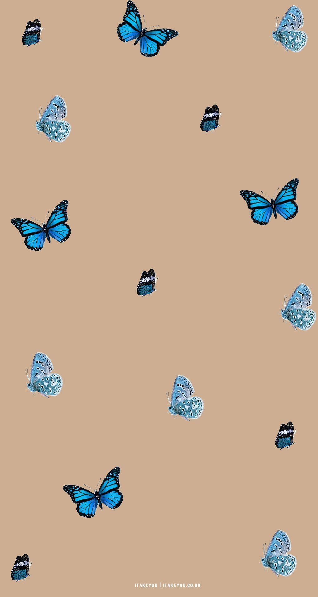  Zeichnungen Hintergrundbild 1020x1915. Cute Brown Aesthetic Wallpaper for Phone : Butterflies I Take You. Wedding Readings. Wedding Ideas