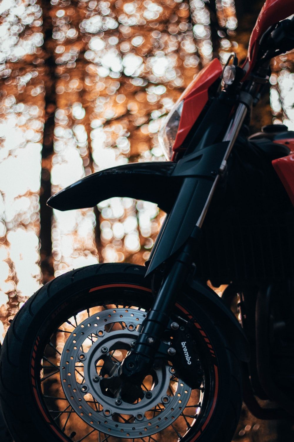  Motorrad Hintergrundbild 1000x1500. Foto zum Thema Rotes und schwarzes motorrad in der nähe von brown tree tagsüber