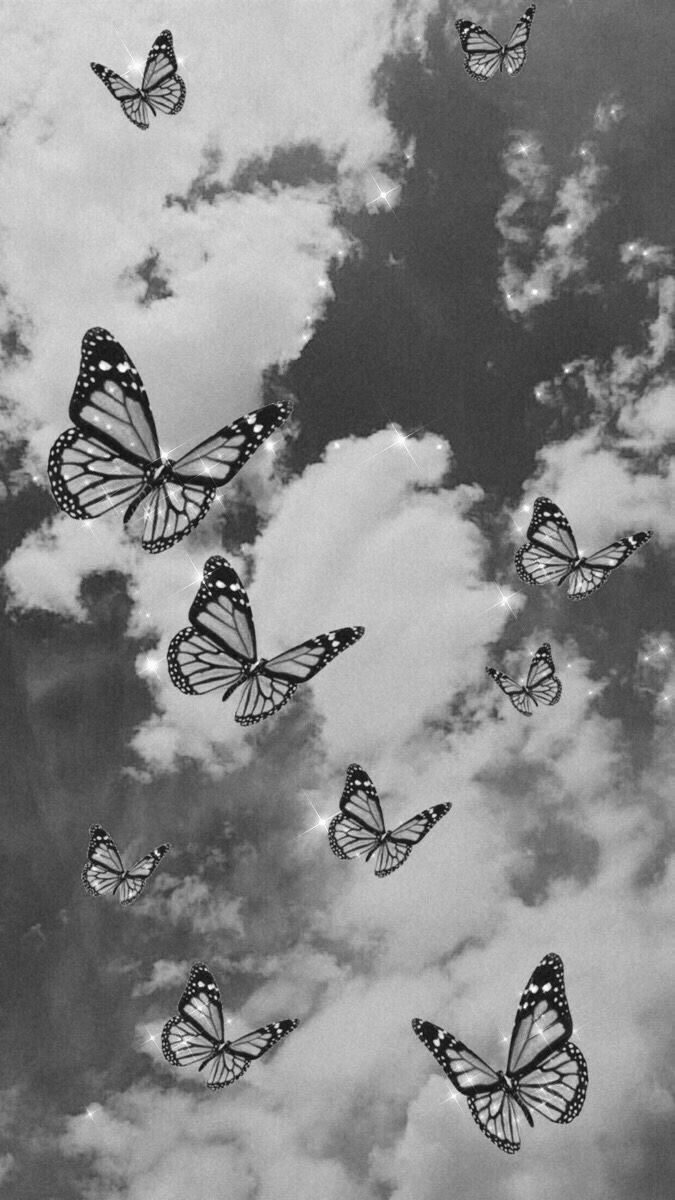  Grau Hintergrundbild 675x1200. wallpaper #icon #butterfly #aesthetic #indiekid. Butterfly black and white, Black and white picture wall, Butterfly background