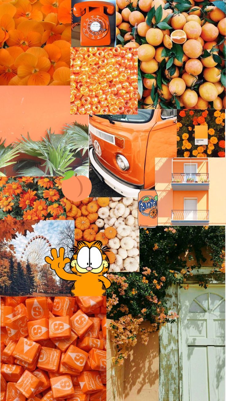  Obst Hintergrundbild 736x1308. Vibrant and Energetic: Explore the Captivating Orange Aesthetic Background
