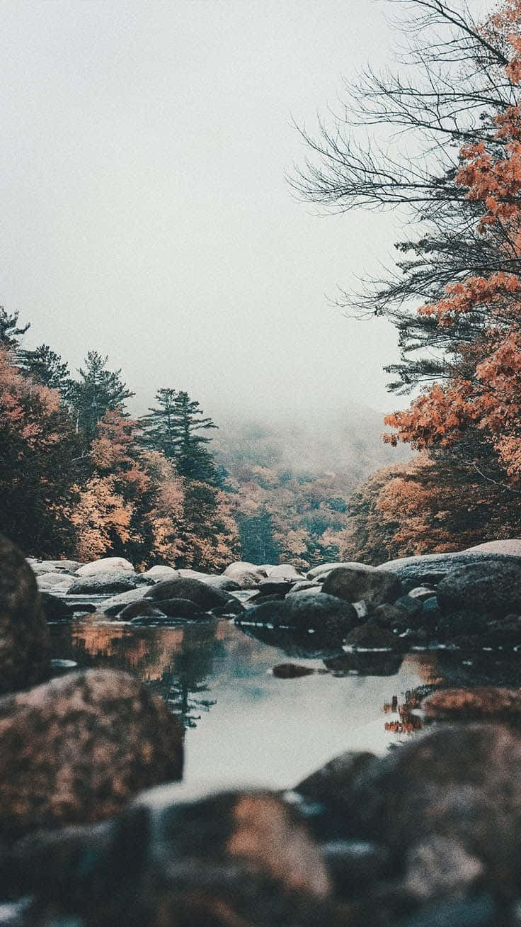  Wald See Hintergrundbild 736x1308. Herbst Ästhetik Wallpaper KOSTENLOS