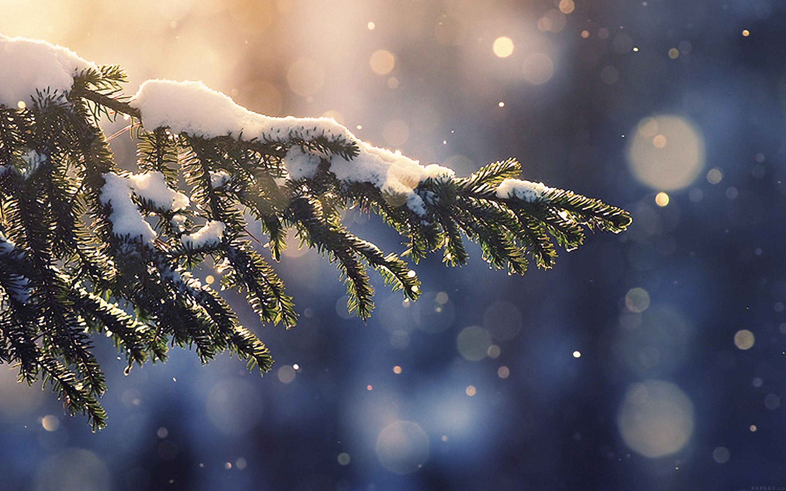  Winter Weihnachten Hintergrundbild 2560x1600. wallpaper for desktop, laptop. snowing tree blue christmas winter nature mountain