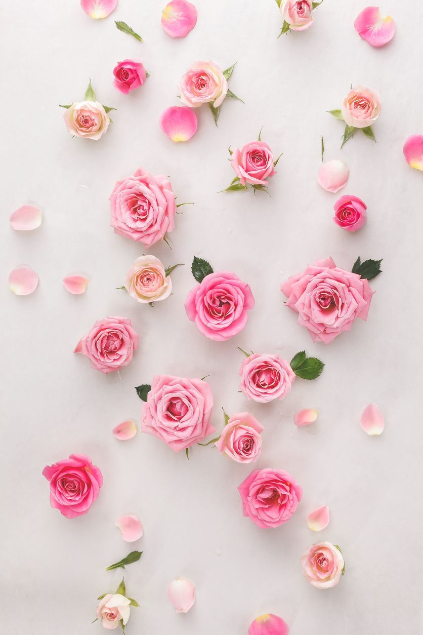 Valentinstag Hintergrundbild 836x1254. Für deinen Schatz: Die schönsten Geschenkideen zum Valentinstag. Pink wallpaper iphone, Pink wallpaper, Pink roses