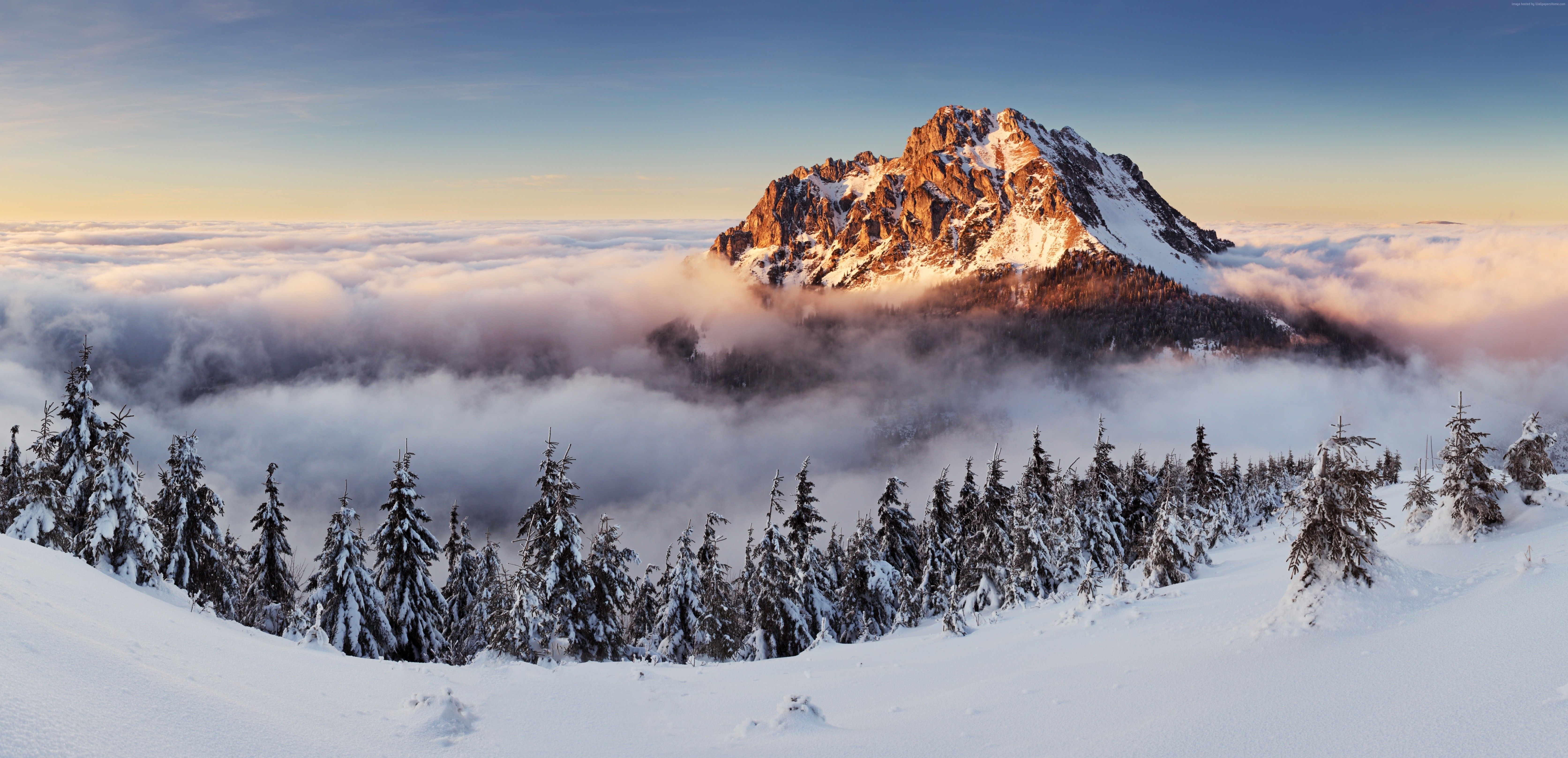  5k Hintergrundbild 6690x3236. 4k, 8k, fog, 5k wallpaper, mountains, pines, snow, Slovakia Gallery HD Wallpaper