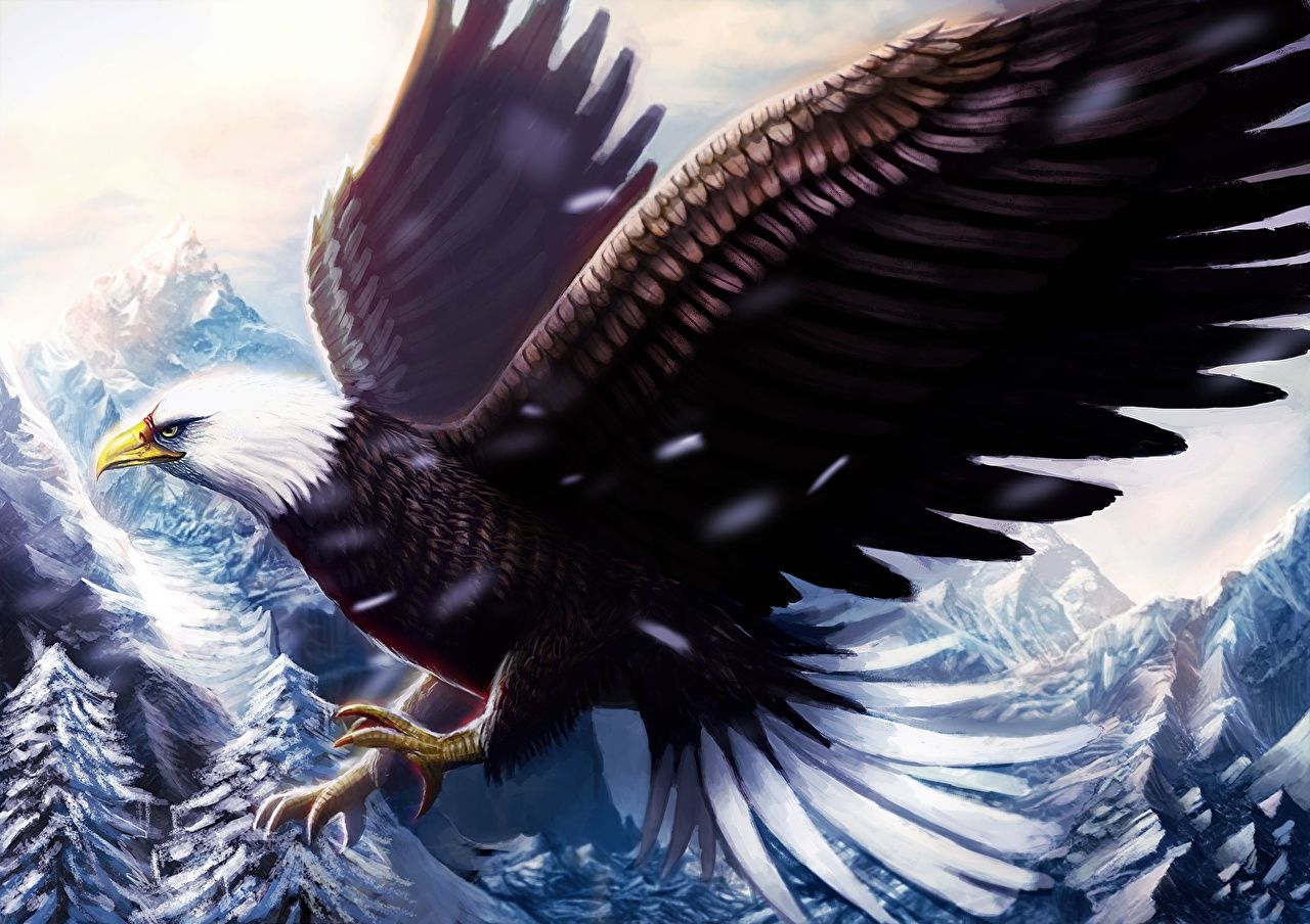  Adler Hintergrundbild 1280x904. Bilder Vogel Adler Flügel ein Tier Gezeichnet