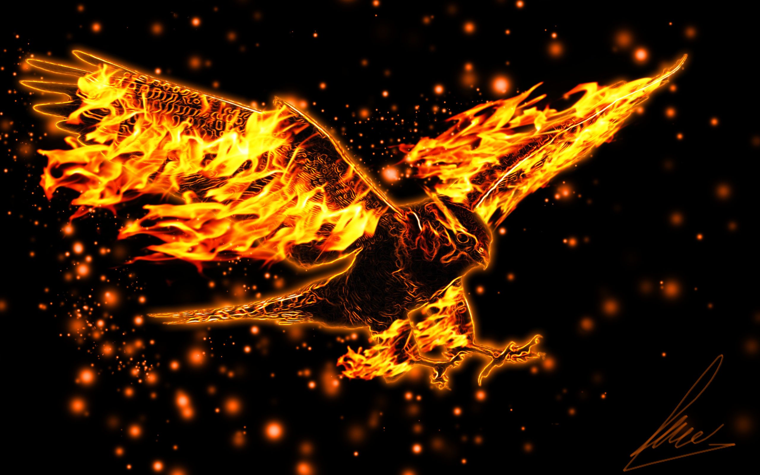  Adler Hintergrundbild 2560x1600. Download Hintergrundbild flug, flügel, adler, brennende die Auflösung 2560x1600