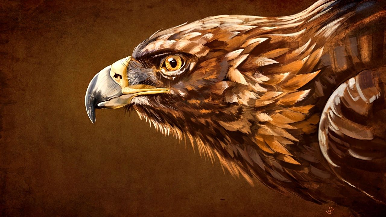  Adler Hintergrundbild 1280x720. Desktop Hintergrundbilder Adler Schnabel Kopf Tiere Gezeichnet