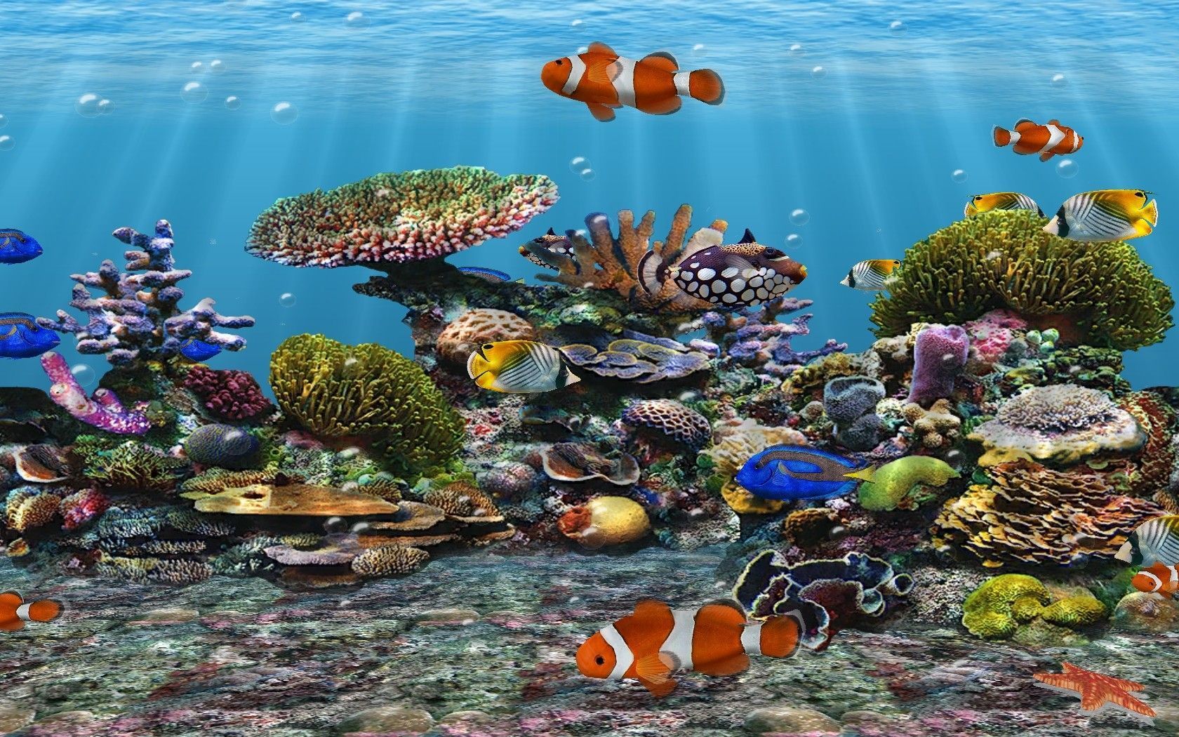  Aquarium Hintergrundbild 1680x1050. Aquarium DeskD