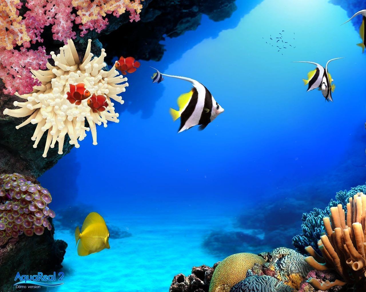  Aquarien Hintergrundbild 1280x1024. Aquarium DeskD