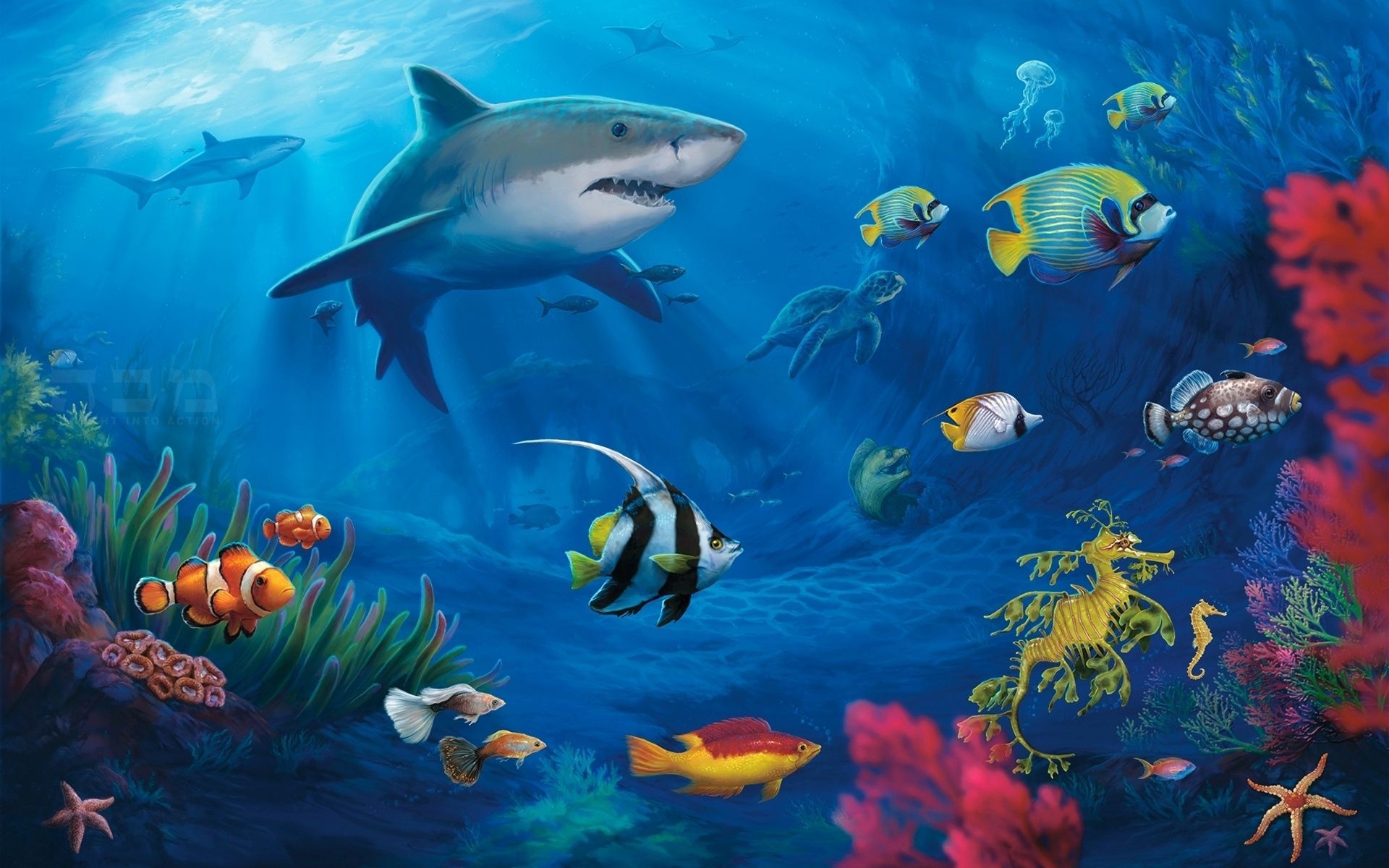  Aquarien Hintergrundbild 1920x1200. Redirect Notice. Underwater wallpaper, Aquarium live wallpaper, Shark painting