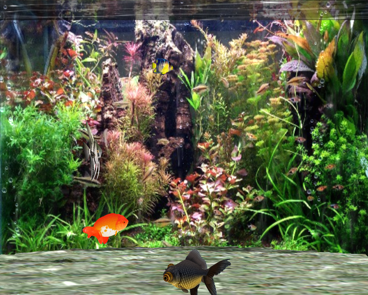  Aquarien Hintergrundbild 1280x1024. Fantastic 3D Fish Aquarium