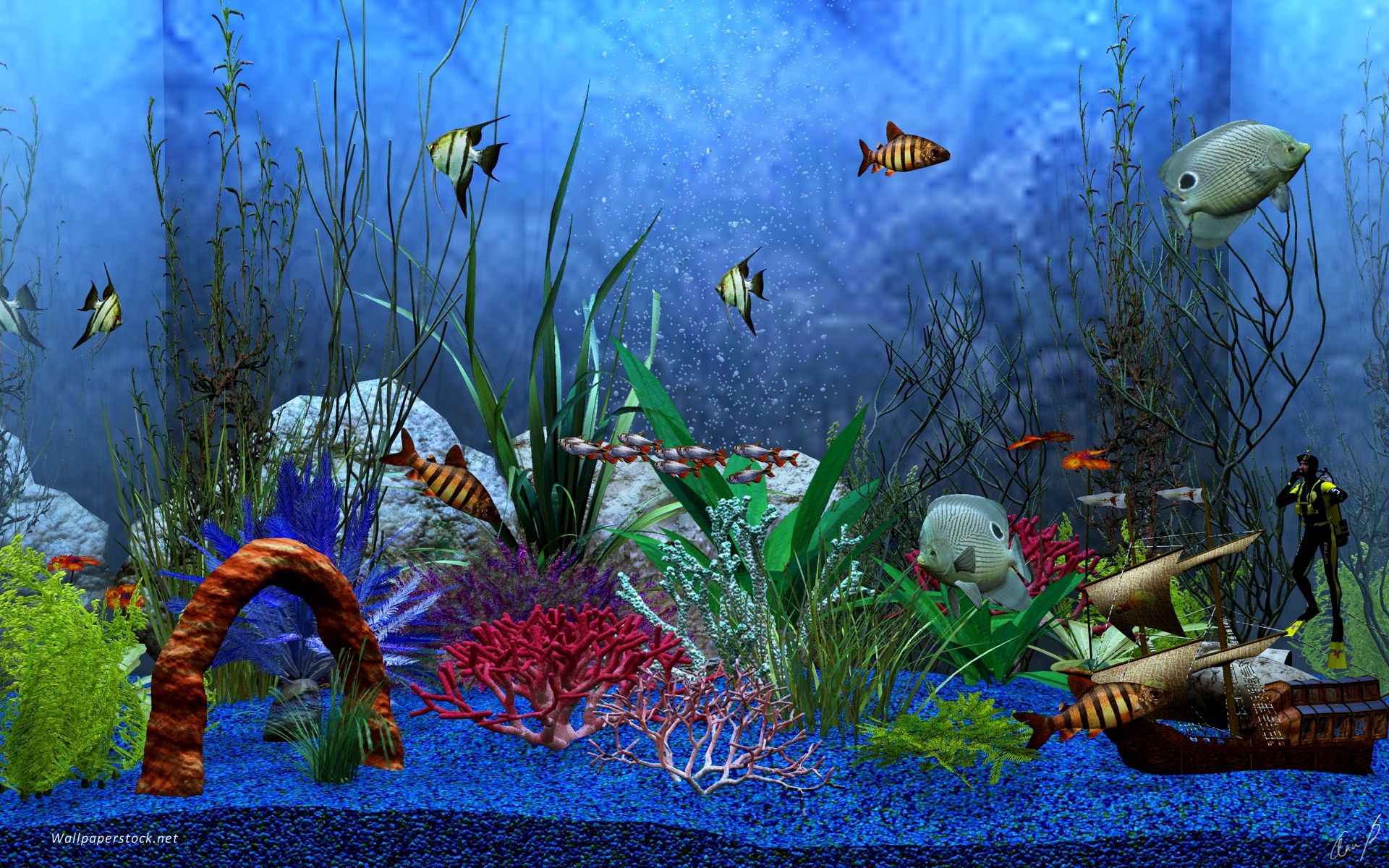  Aquarien Hintergrundbild 1920x1200. Aquarium anzeigen Hintergrundbilder. Aquarium anzeigen frei fotos