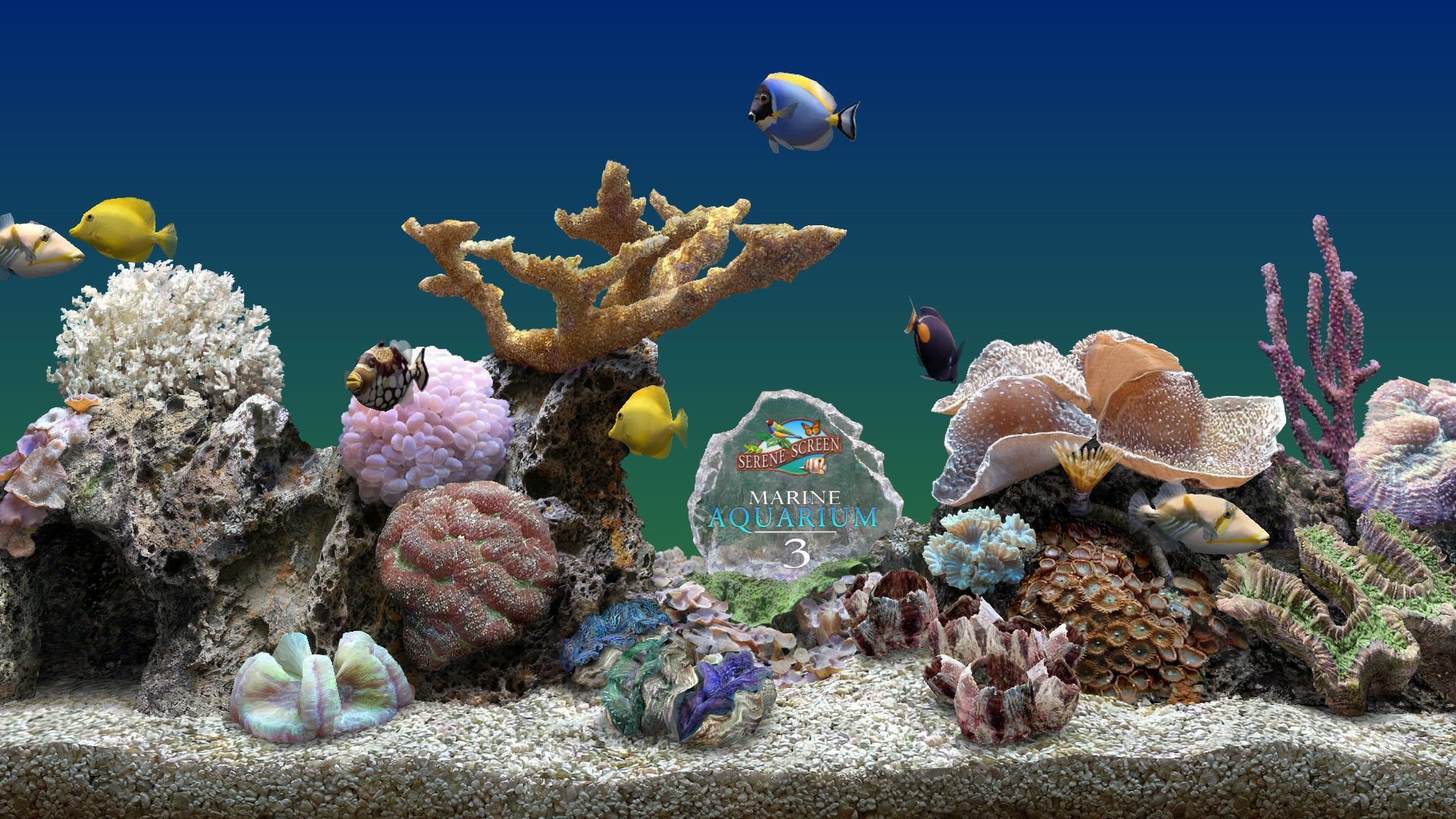  Aquarien Hintergrundbild 1920x1080. Aquarium DeskD