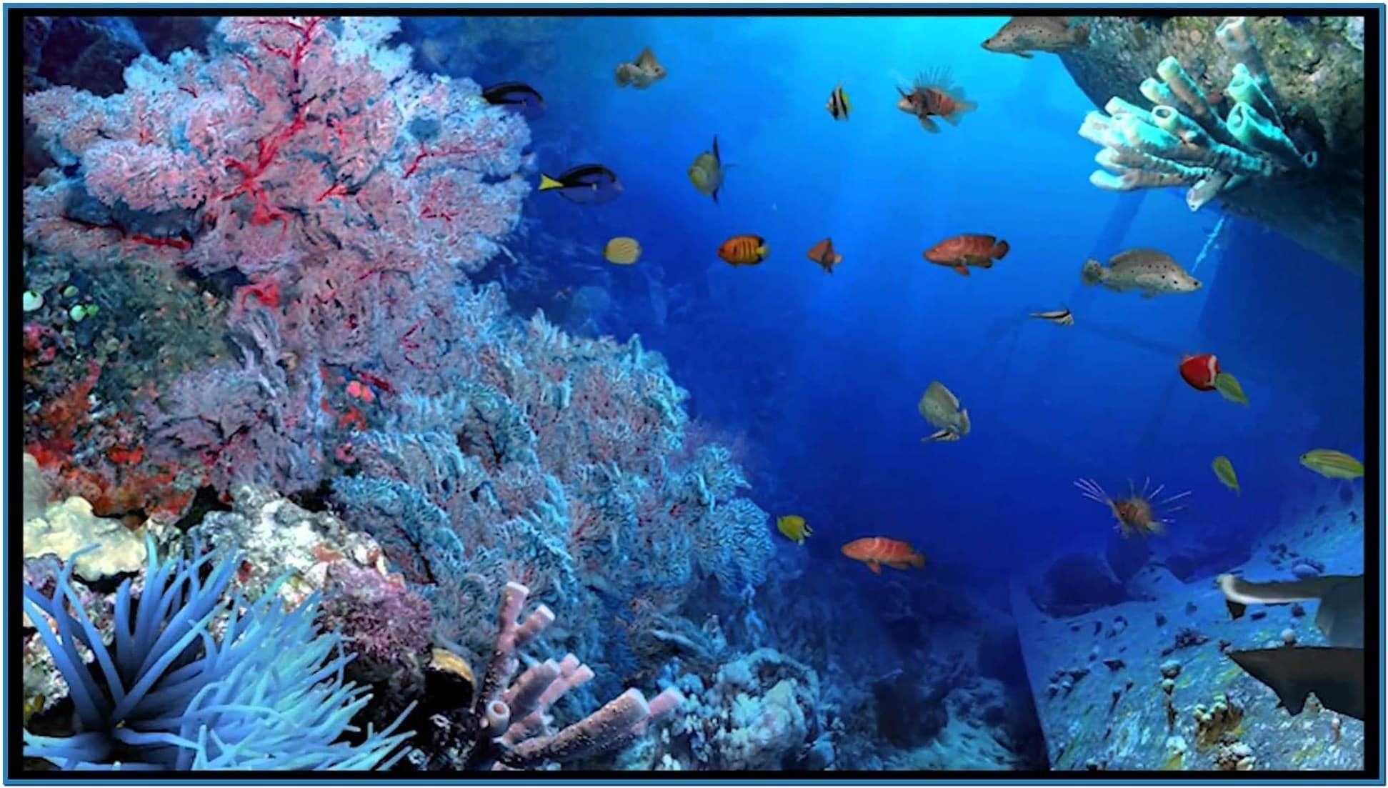  Aquarien Hintergrundbild 1943x1103. Aquarium Live Wallpaper for PC