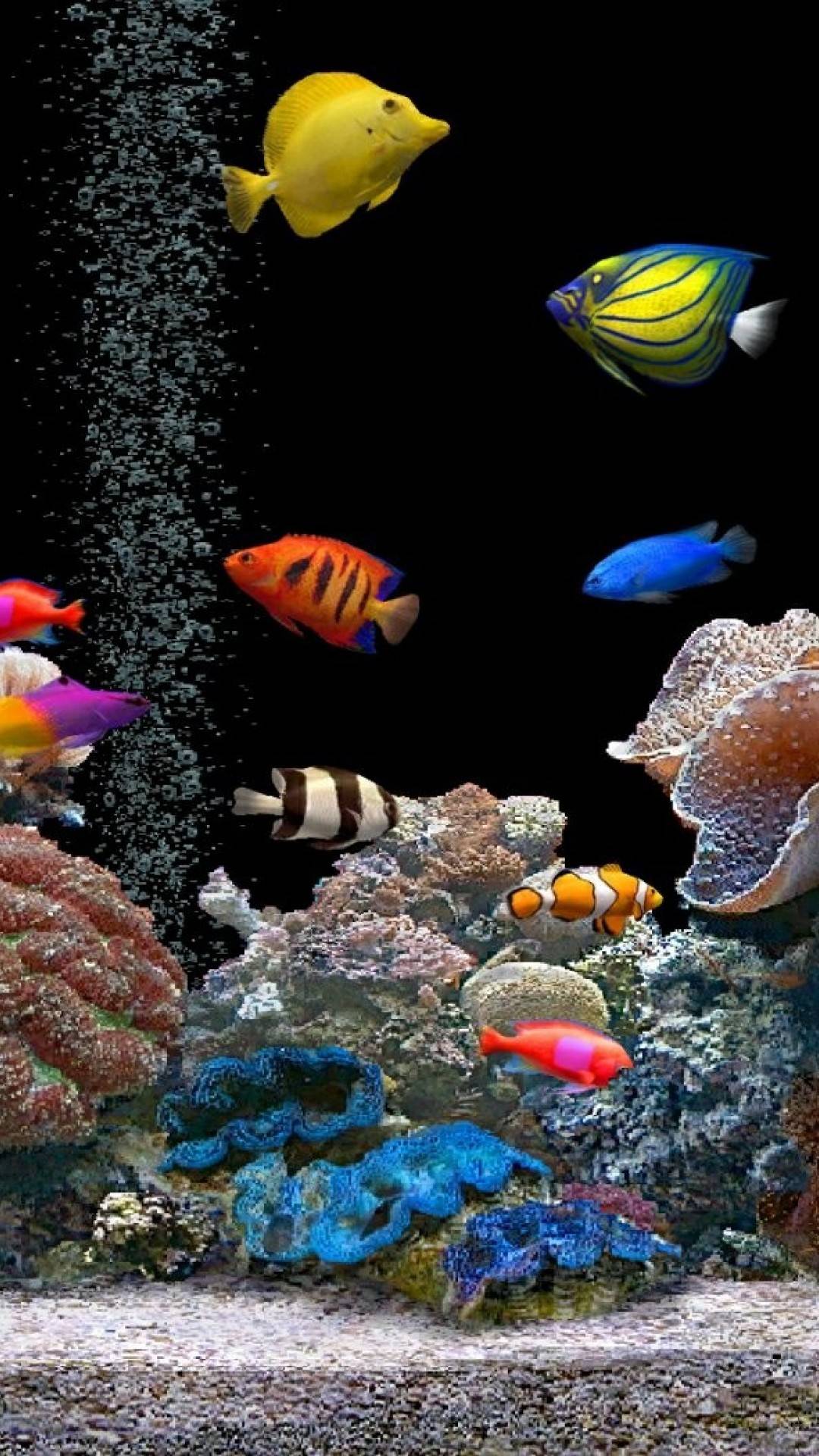  Aquarium Hintergrundbild 1080x1920. Aquarium Screensaver:Amazon.de:Appstore for Android