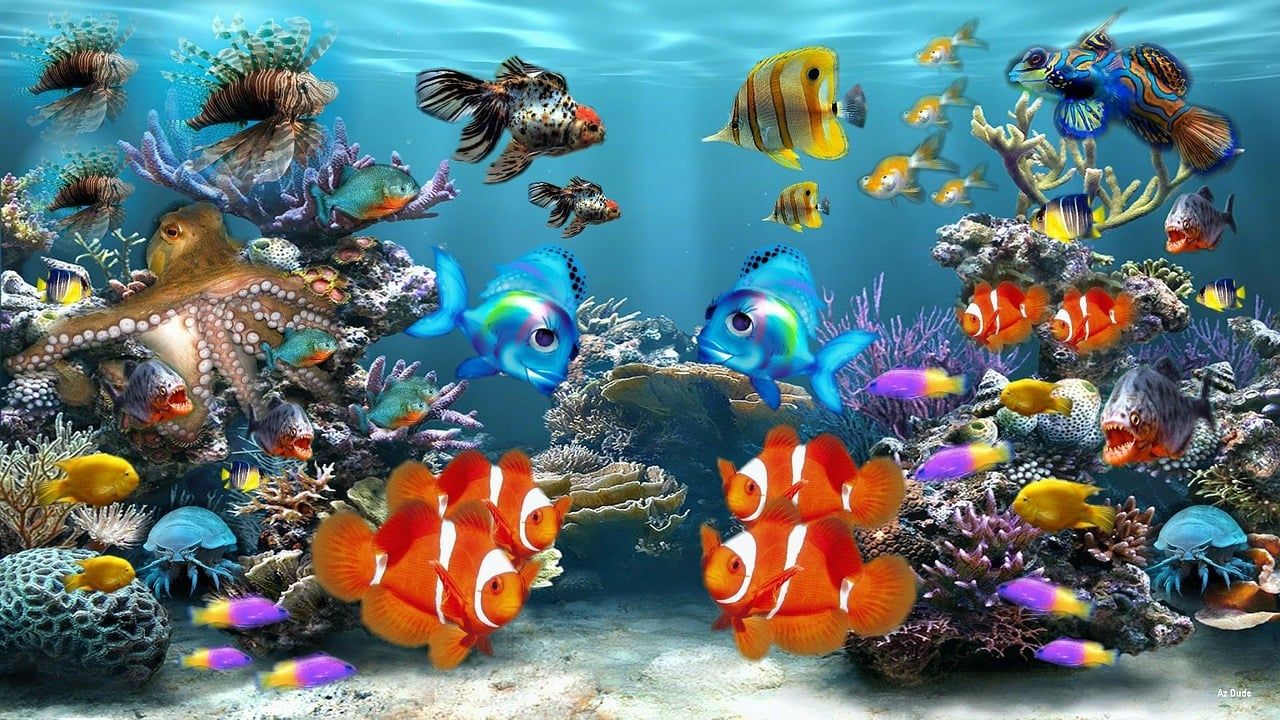  Aquarium Hintergrundbild 1280x720. Aquarium Fische Sea Life Bild auf Pixabay