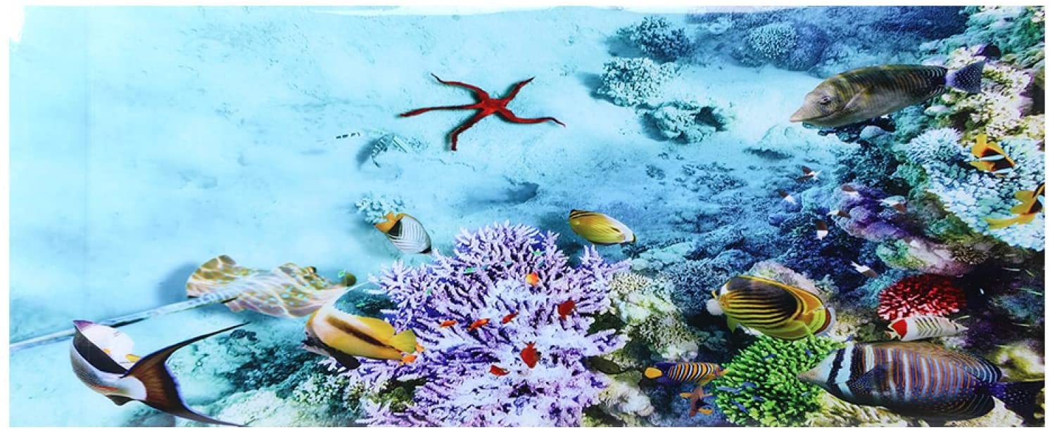  Aquarium Hintergrundbild 1492x612. GOTOTOP Aquarium Poster, Coral and Small Fish Pattern Aquarium Background Poster PVC Adhesive Sticker Aquarium Wallpaper Decoration (91 x 50 cm) : Amazon.de: Pet Supplies