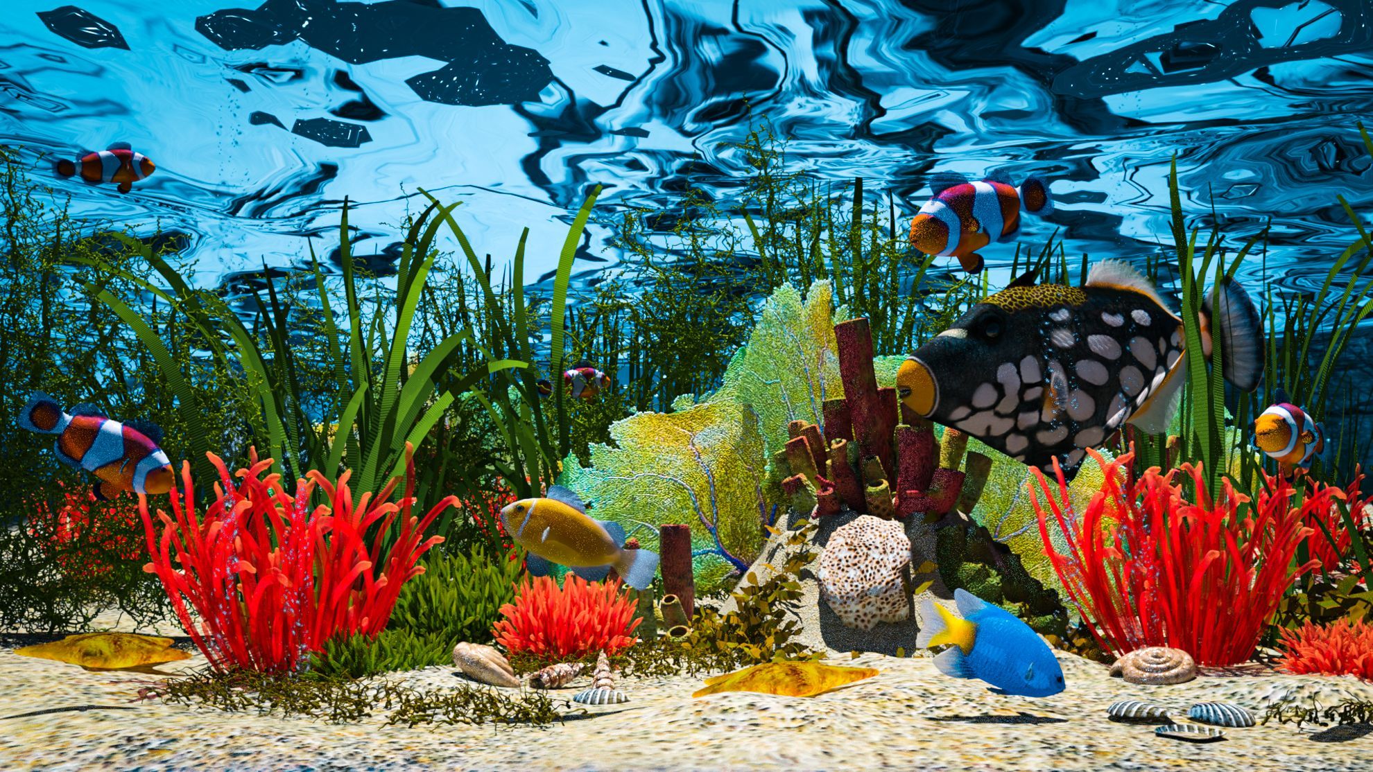  Aquarium Hintergrundbild 1980x1114. Aquarium