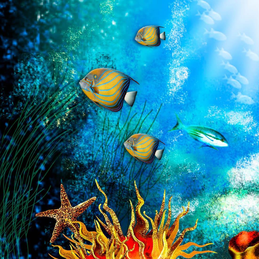  Aquarium Hintergrundbild 1100x1100. Aquarium Hintergrundbilder APK für Android herunterladen