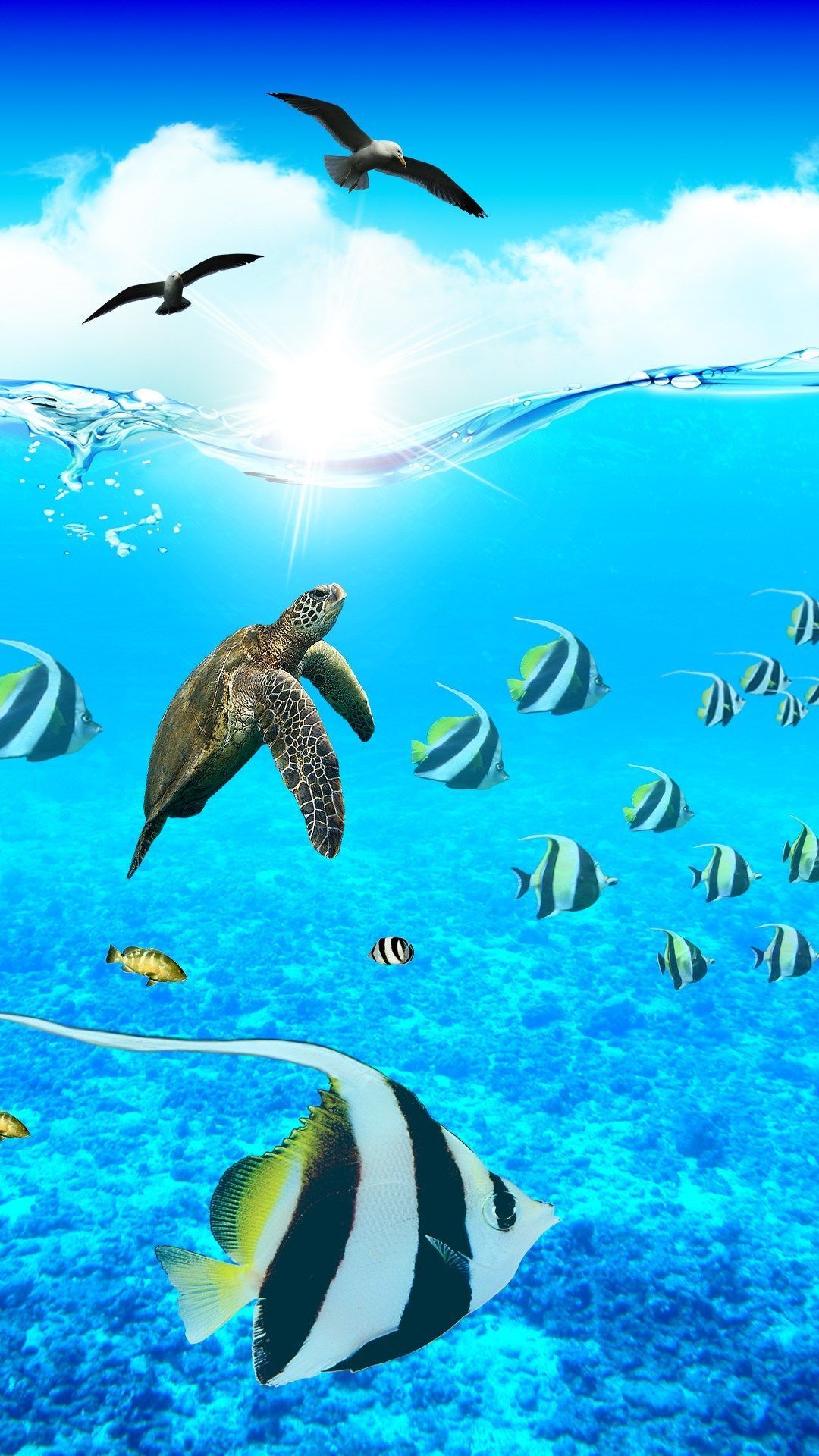  Aquarium Hintergrundbild 1080x1920. Ocean Aquarium. Aquarium live wallpaper, Nature wallpaper, Tree wallpaper background