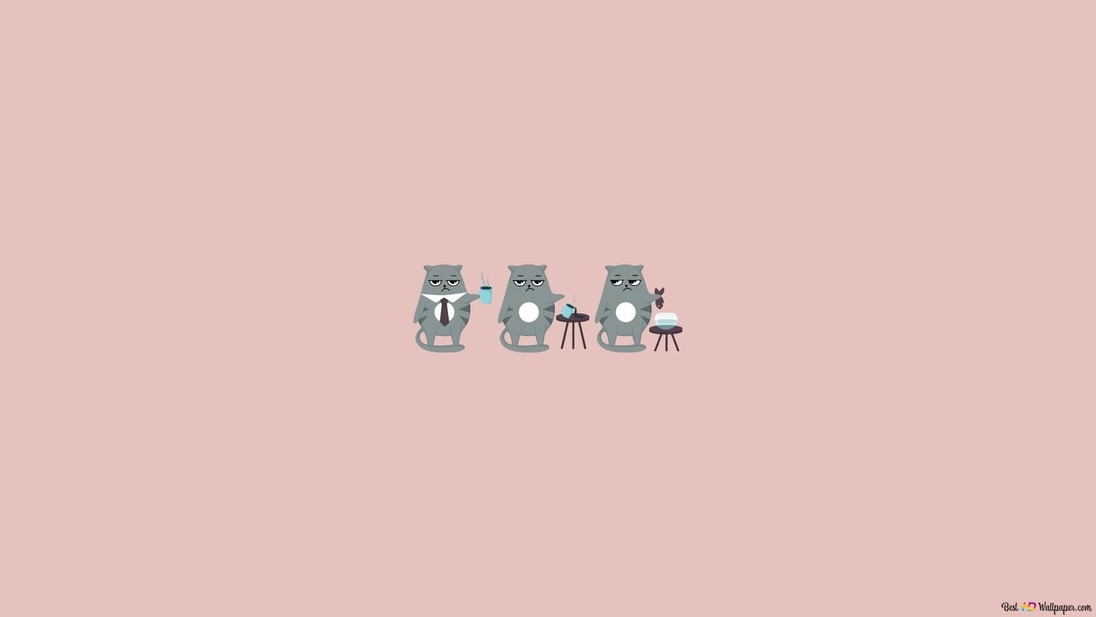 1600x900 Hintergrundbild 1600x900. Grey Grumpy Cat, minimalist design HD wallpaper download