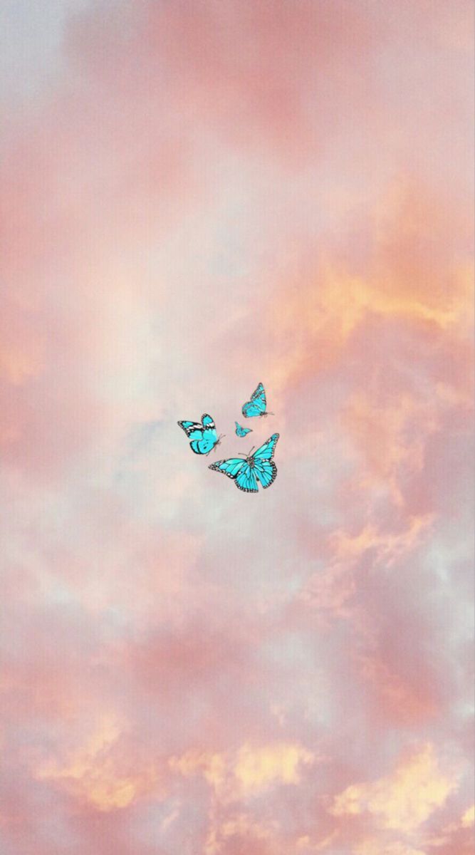 Tumblr Hintergrundbild 667x1200. Wallpaper. Butterfly wallpaper iphone, Cute wallpaper background, iPhone background wallpaper