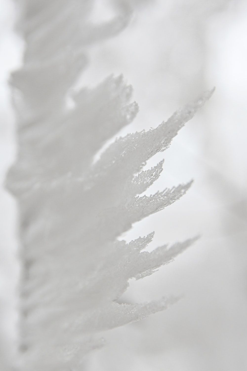 Tumblr Hintergrundbild 1000x1500. Foto zum Thema weißer Schnee auf weißem Hintergrund