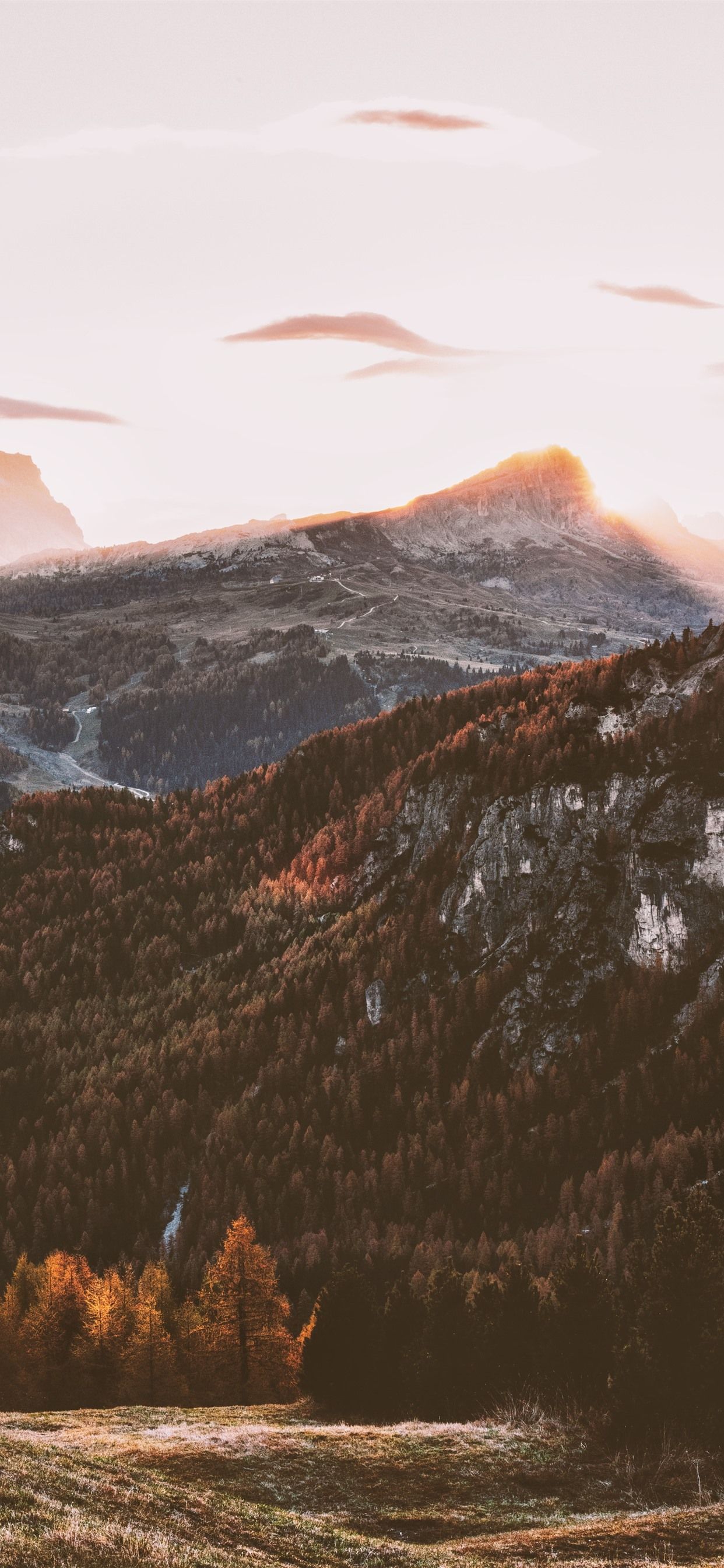 Tumblr Hintergrundbild 1242x2688. Herbst, Bäume, Berge, Nebel, Sonnenaufgang, Morgen 2880x1800 HD Hintergrundbilder, HD, Bild
