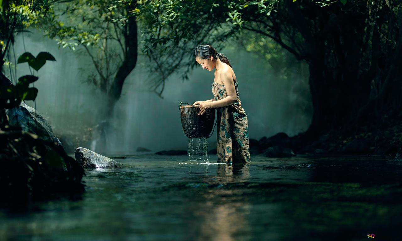  Asiatin Hintergrundbild 1280x768. Asiatin, die einen Korb in einem See mit Bäumen hält 2K Hintergrundbild herunterladen