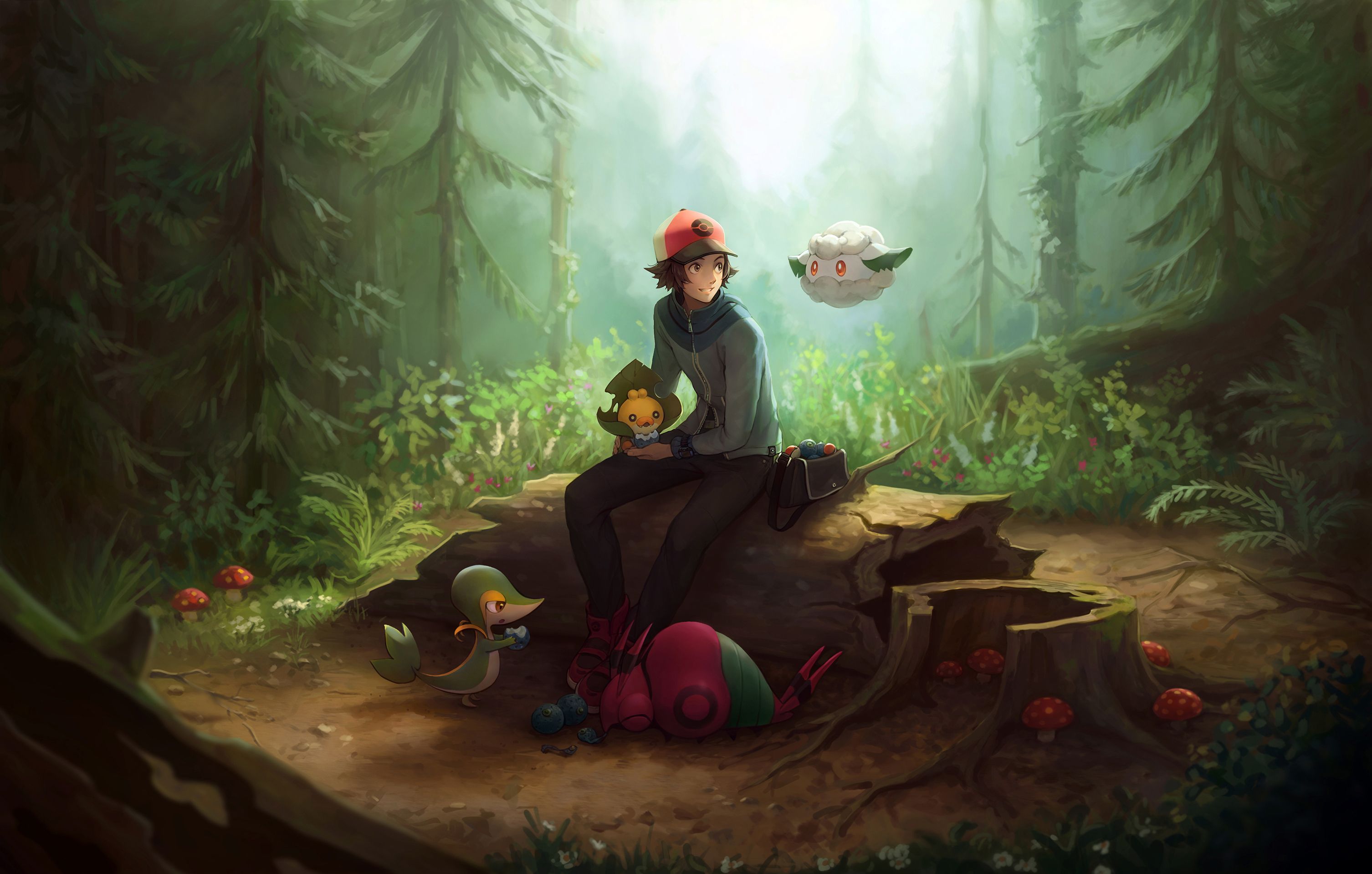  Pokémon Hintergrundbild 3012x1918. Touya (Pokémon) HD Wallpaper and Background