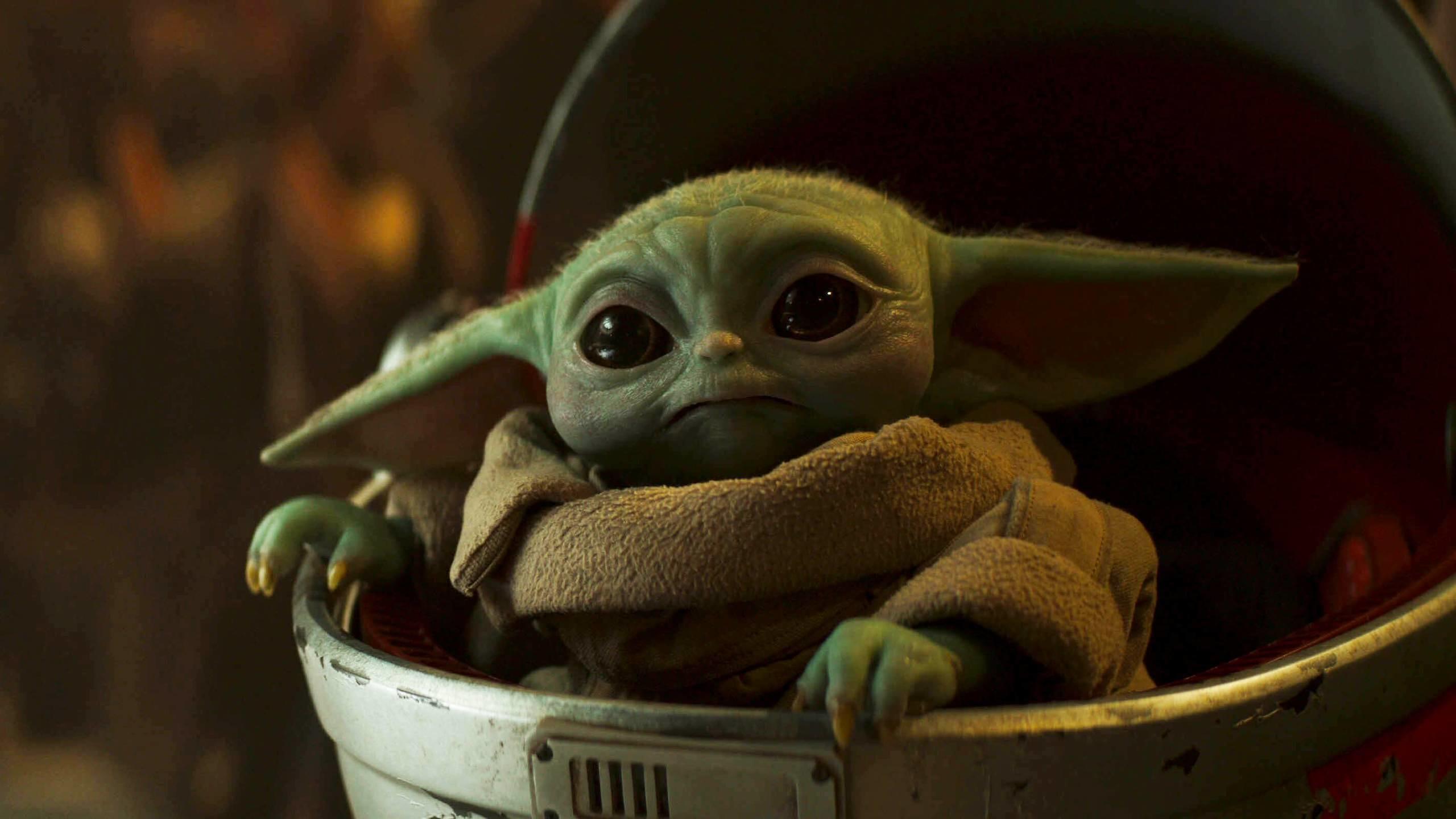  Baby Yoda Hintergrundbild 2560x1440. The Mandalorian“: Robert Rodriguez jammt mit Baby Yoda