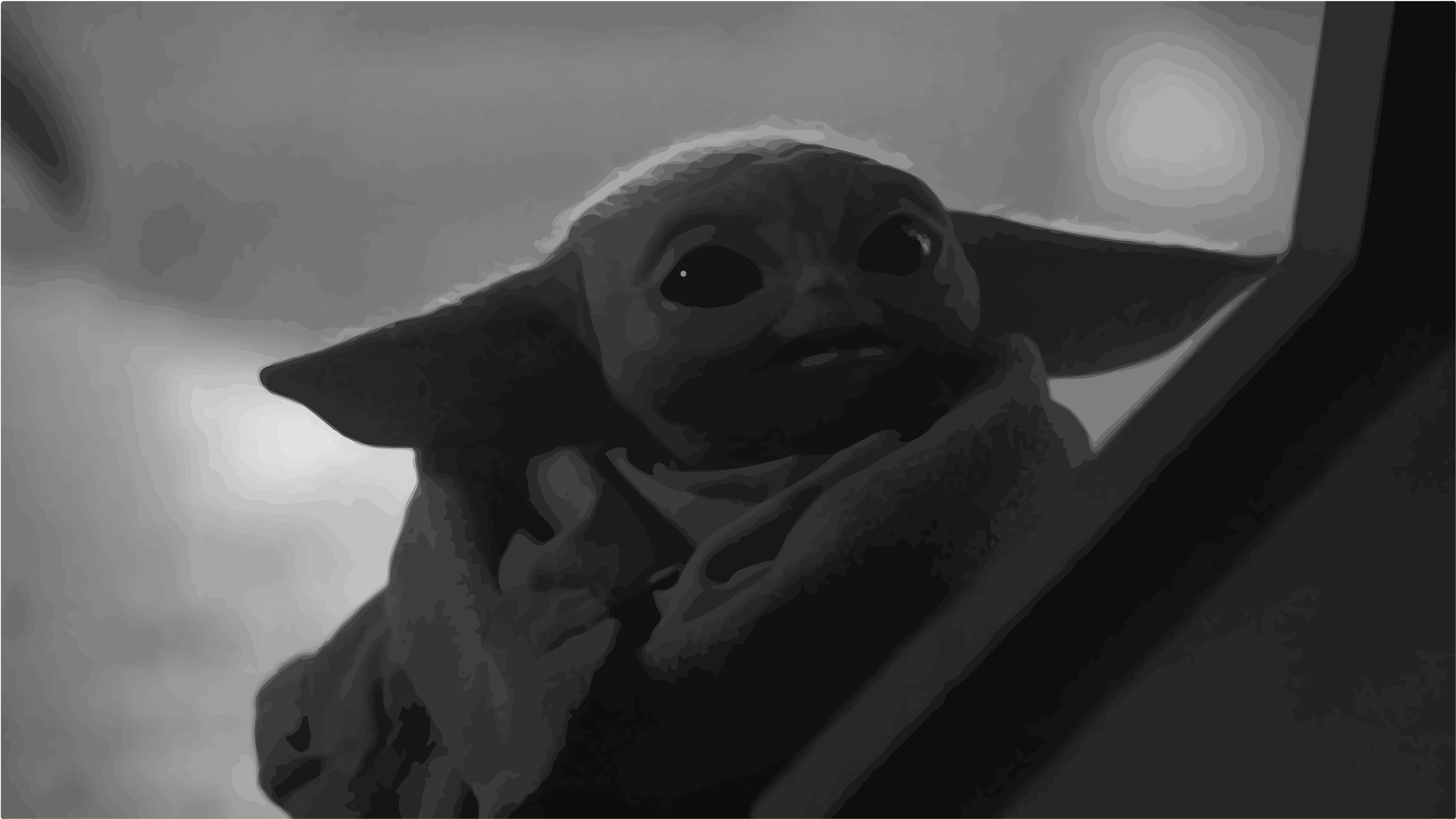  Baby Yoda Hintergrundbild 5004x2817. Baby Yoda 4K wallpaper