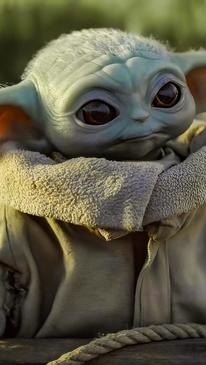  Baby Yoda Hintergrundbild 850x1510. Baby yoda HD wallpaper