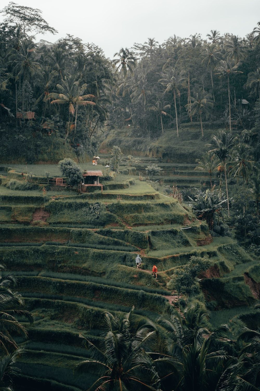  Bali Hintergrundbild 1000x1500. Bilder zum Thema Pura Melanting, Jl. Raya Gilimanuk, Banyupoh, Buleleng Regency, Bali, Indonesia. Kostenlose Bilder auf herunterladen
