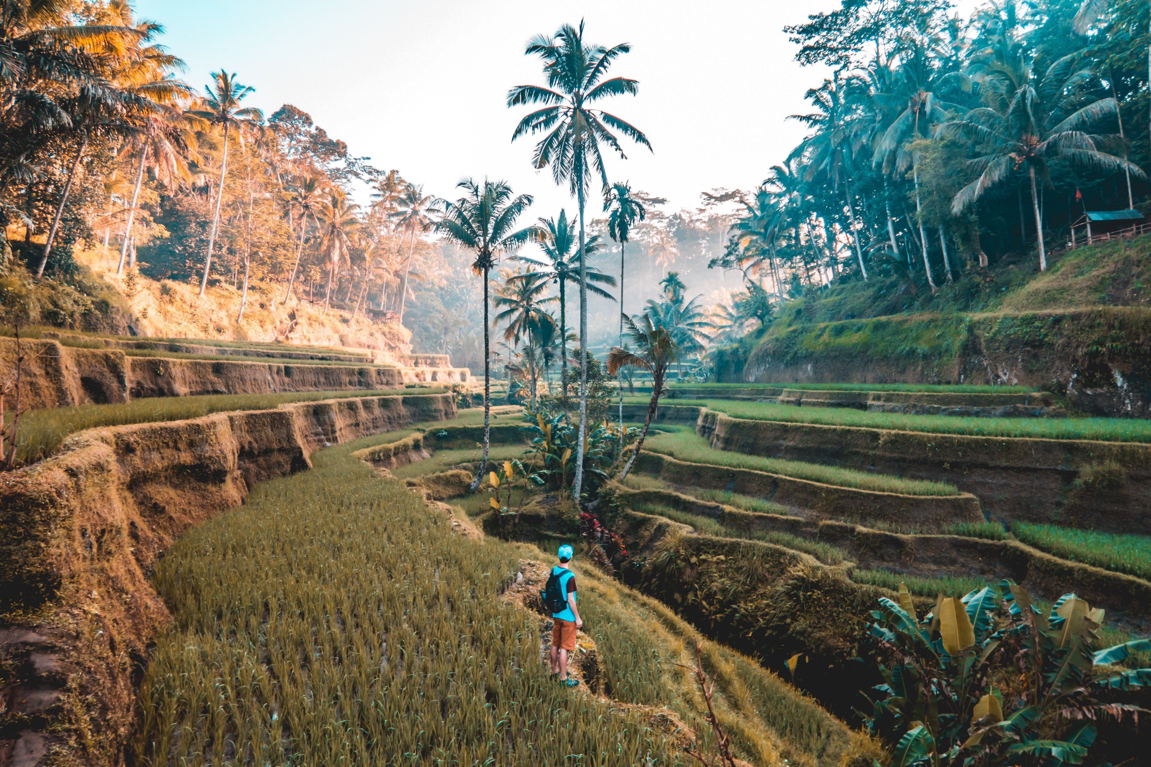  Bali Hintergrundbild 3840x2560. Wallpaper / wandering in bali 4k wallpaper free download