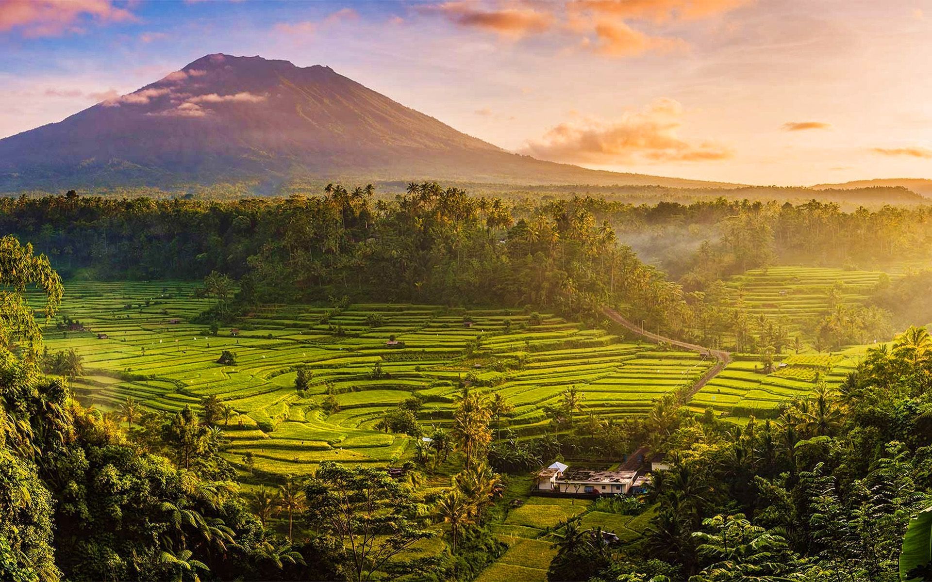  Bali Hintergrundbild 1920x1200. Herunterladen hintergrundbild bali, reis, felder, sonnenuntergang, sommer, indonesien, schöne natur, asien mit einer auflösung zu überwachen 1920x1200. Bilder auf dem desktop