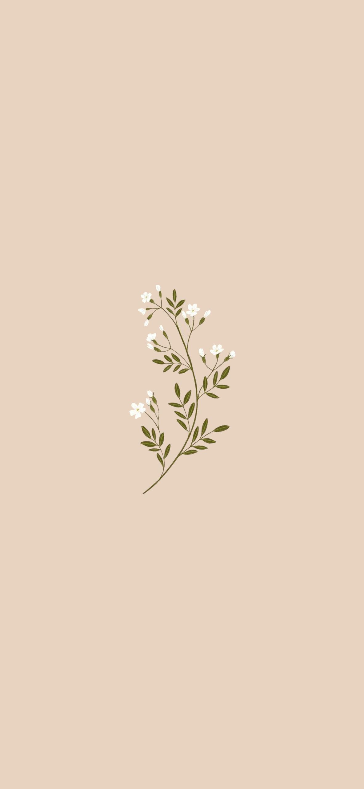  Beige Hintergrundbild 1183x2560. Jasmine Blossoms Beige Wallpaper Wallpaper for iPhone
