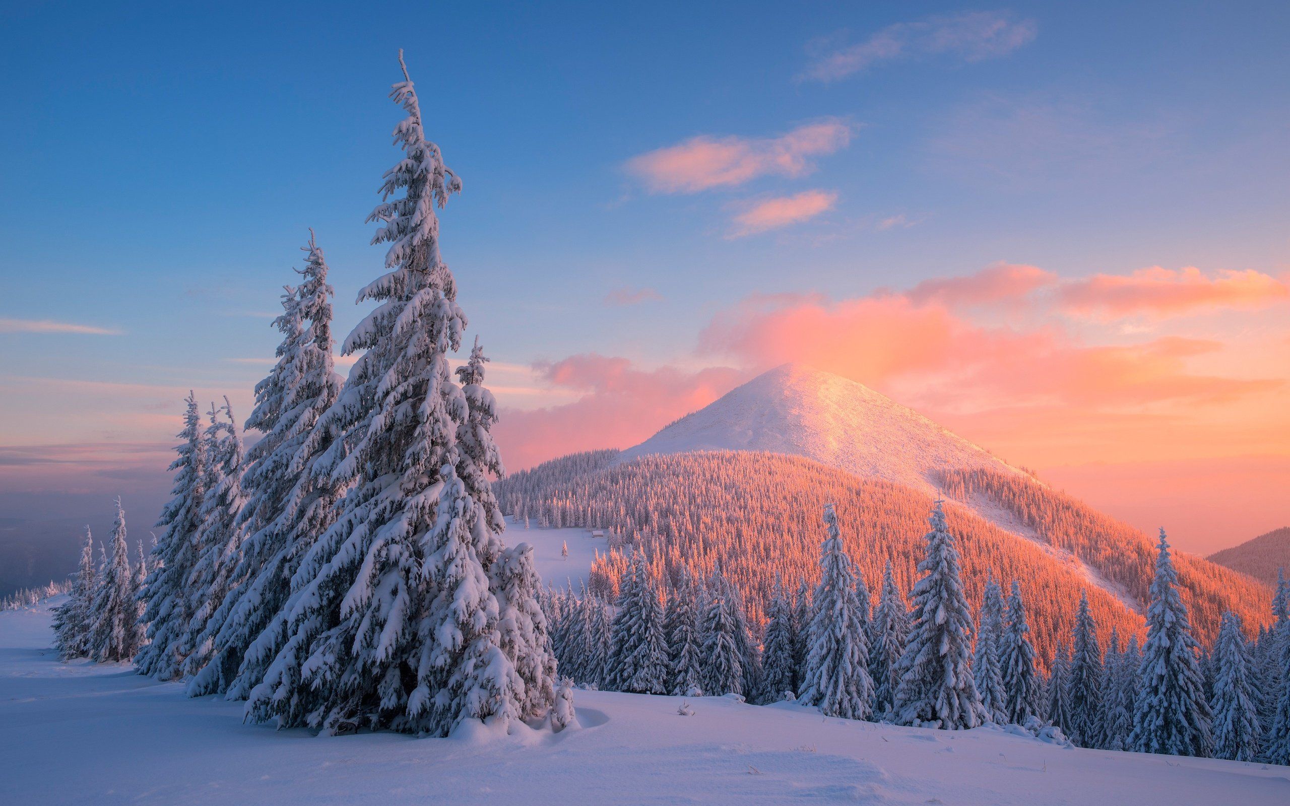 Berge Hintergrundbild 2560x1600. Download Hintergrundbild bäume, die berge, schnee, sonnenuntergang, winter die Auflösung 2560x1600
