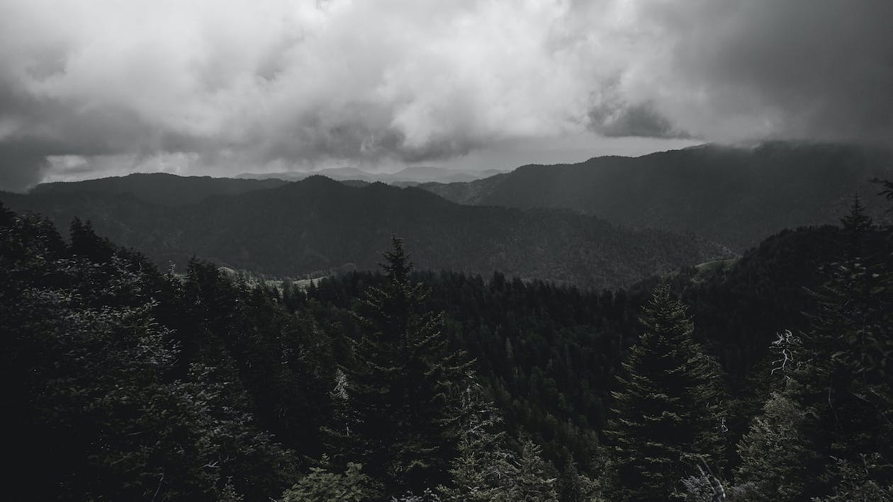  Berge Hintergrundbild 1260x709. Kostenloses Foto zum Thema: 4k wallpaper, bäume, berge, dunkel, hintergrund, holz, natur, nebel, wald