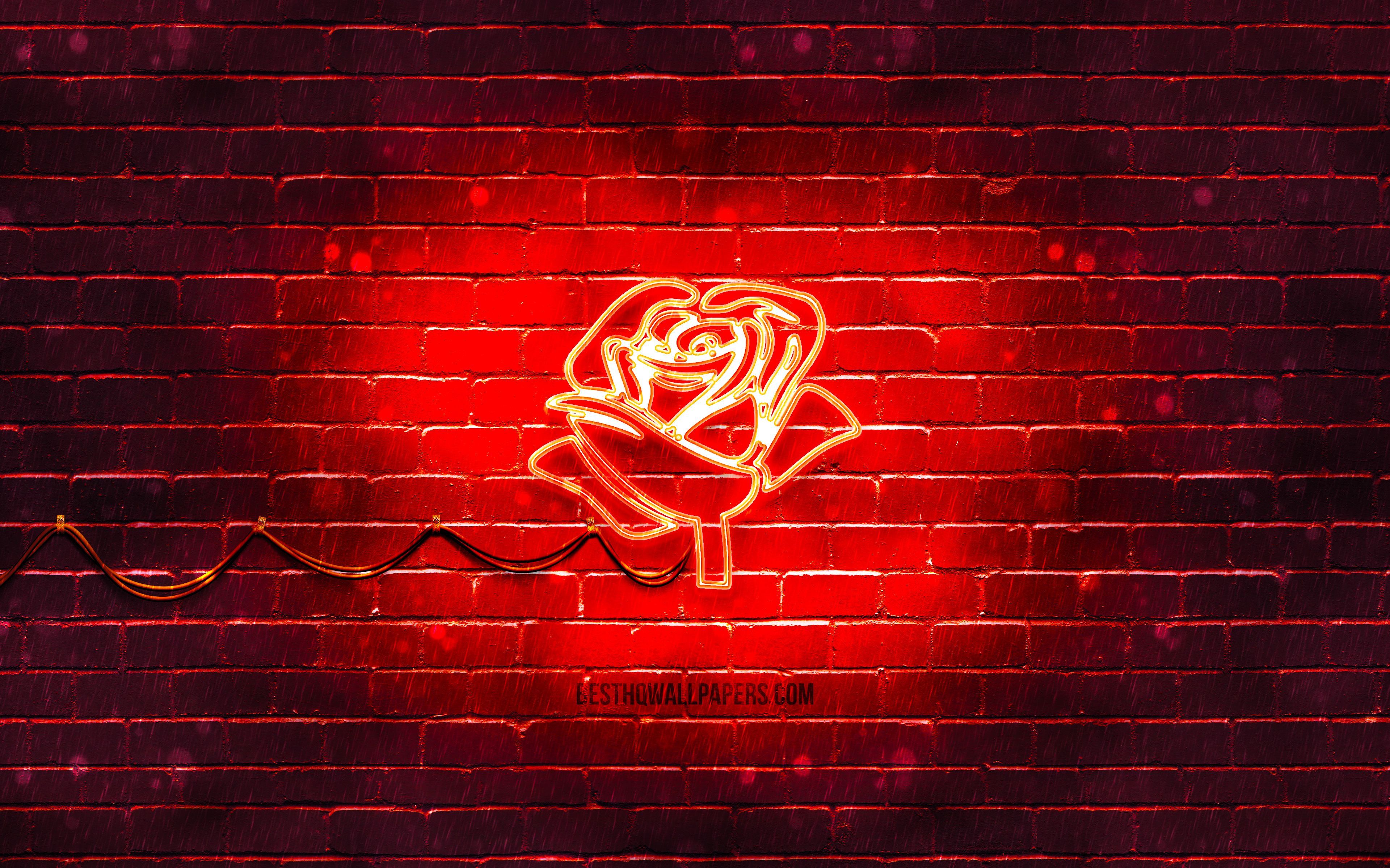 Rote Hintergrundbild 3840x2400. Herunterladen hintergrundbild rote rose neonikone, 4k, roter hintergrund, neonsymbole, rote rose, neonikonen, rote rose zeichen, neonblumen, naturzeichen, rote rose ikone, naturikonen mit einer auflösung zu überwachen 3840x2400. Bilder auf dem desktop
